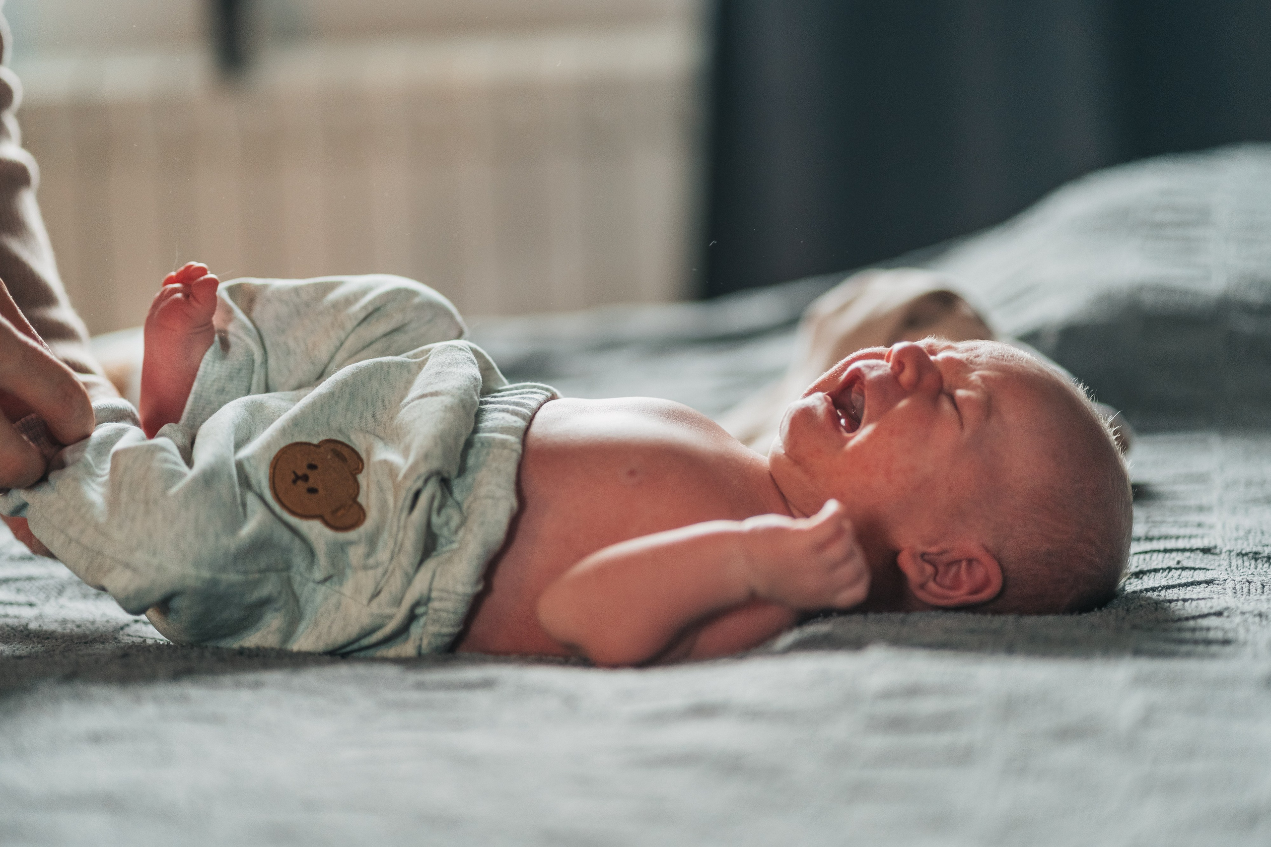 Новорожденные. Школьные альбомы и альбомы для детского сада. Юлия Осипова. Москва