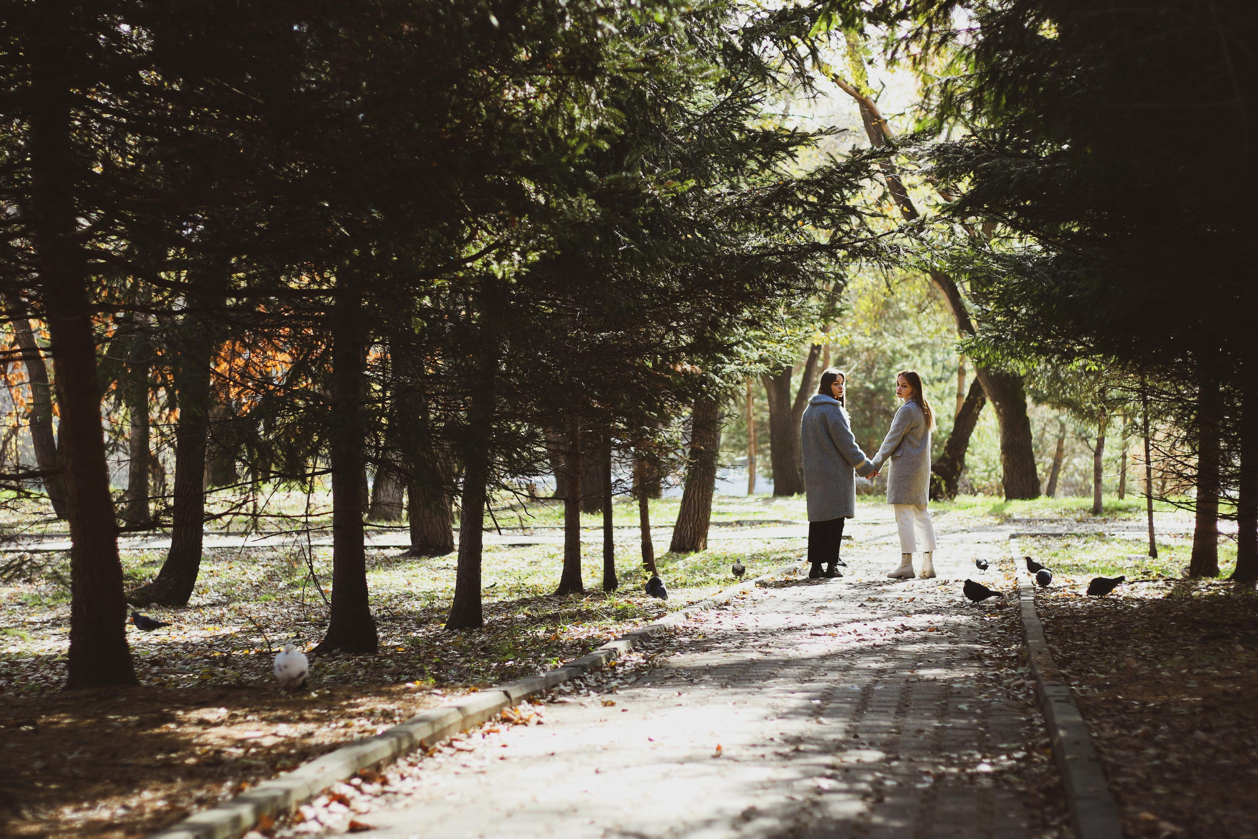 Прогулка 1. Алиса Томшина — Фотограф / Видеограф