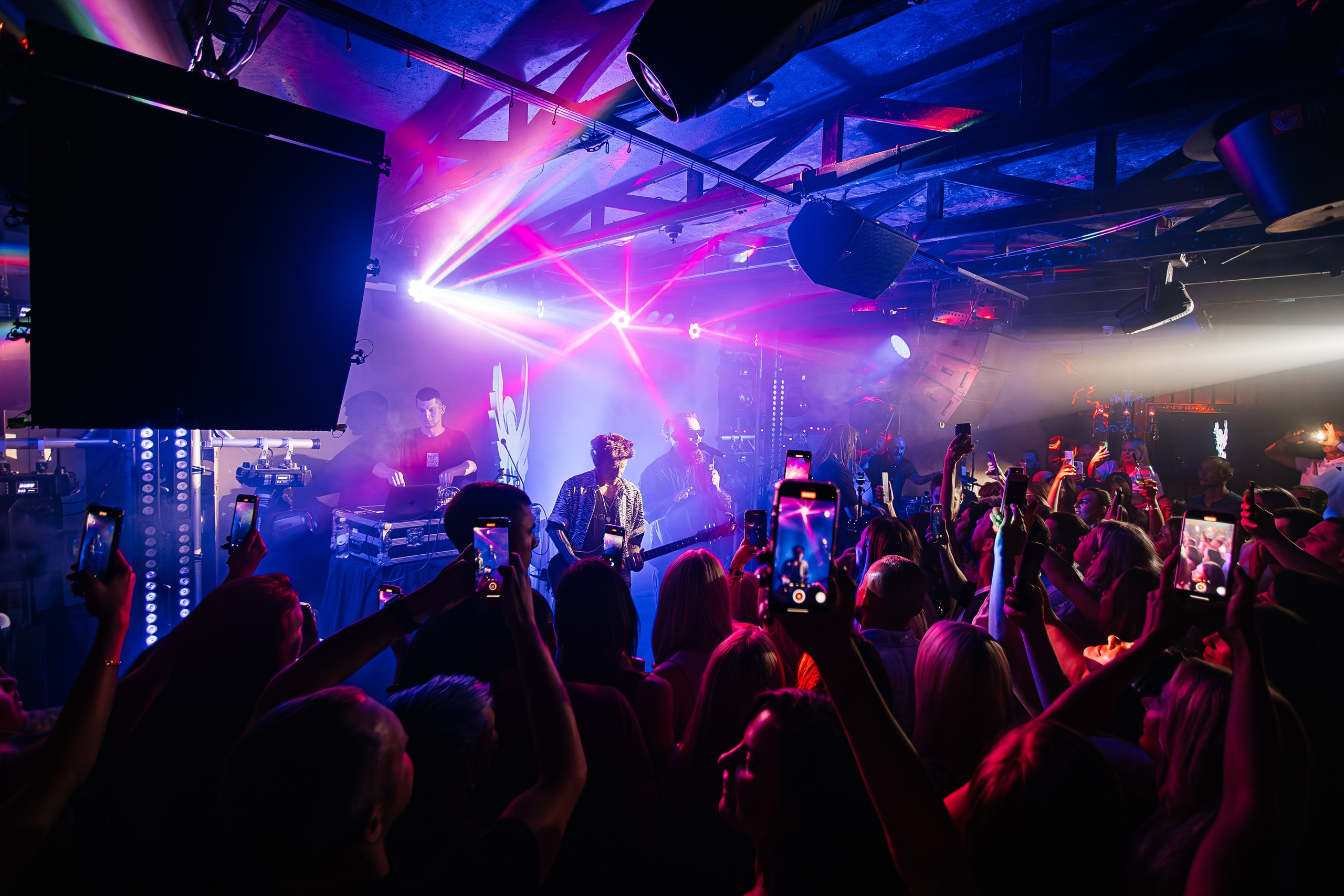 Бурито_Чайка_на_пляже_Ялта 23.08.2024. Аминов Руслан | Фотограф