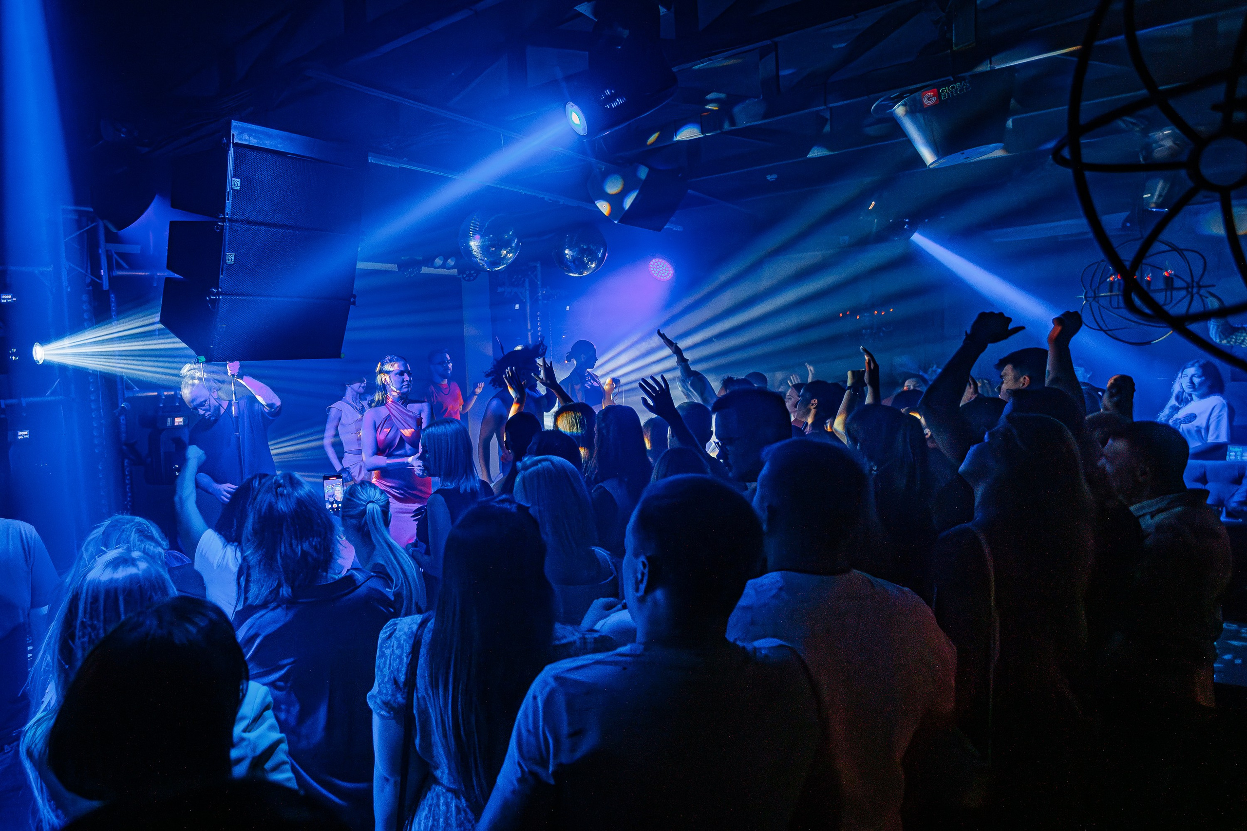 «Шура"_Чайка на пляже_Ялта_18.07.2025 г. Аминов Руслан | Фотограф