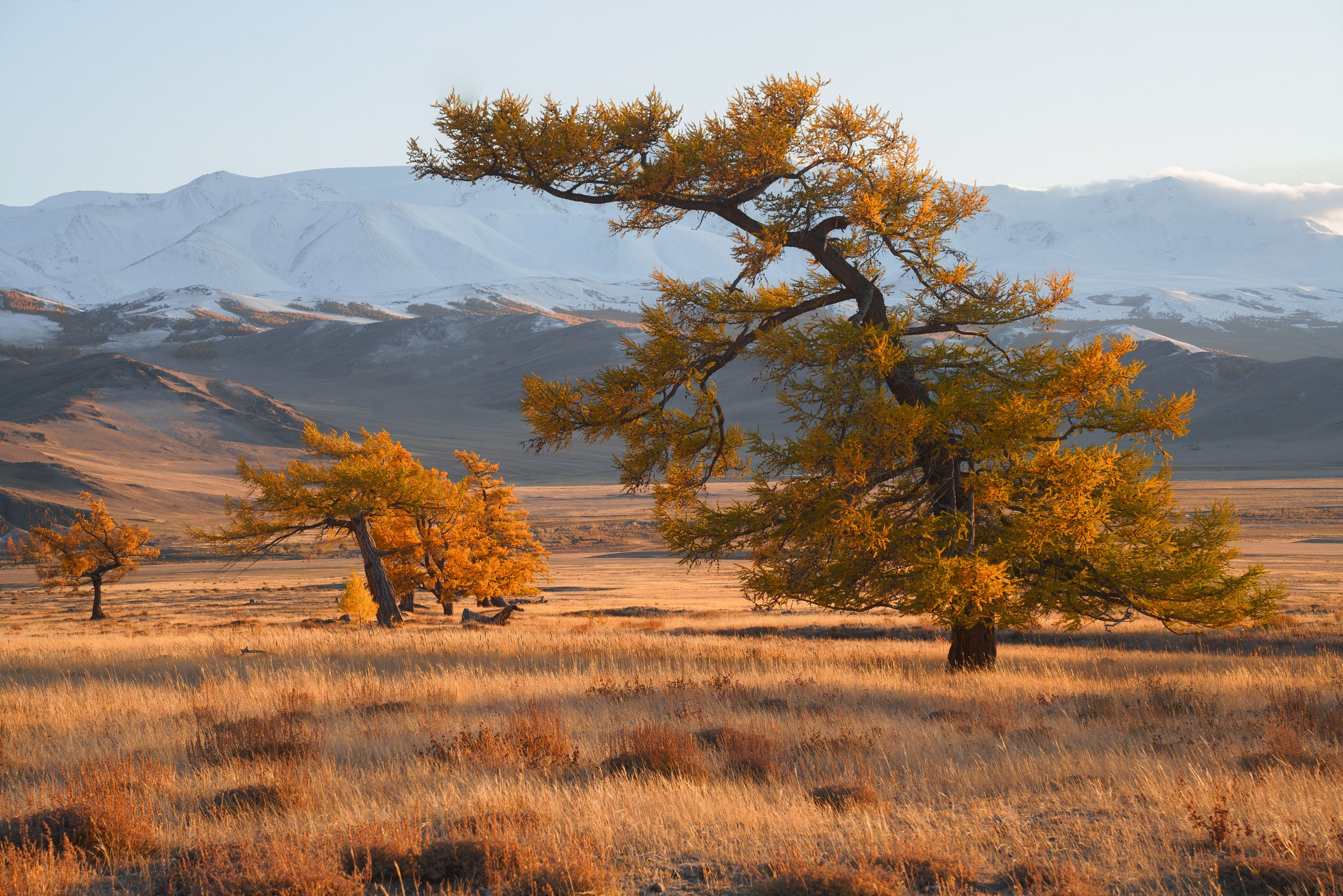 Тува. Фотограф в Красноярске Нерозя Александр. Пейзаж, природа, портрет
