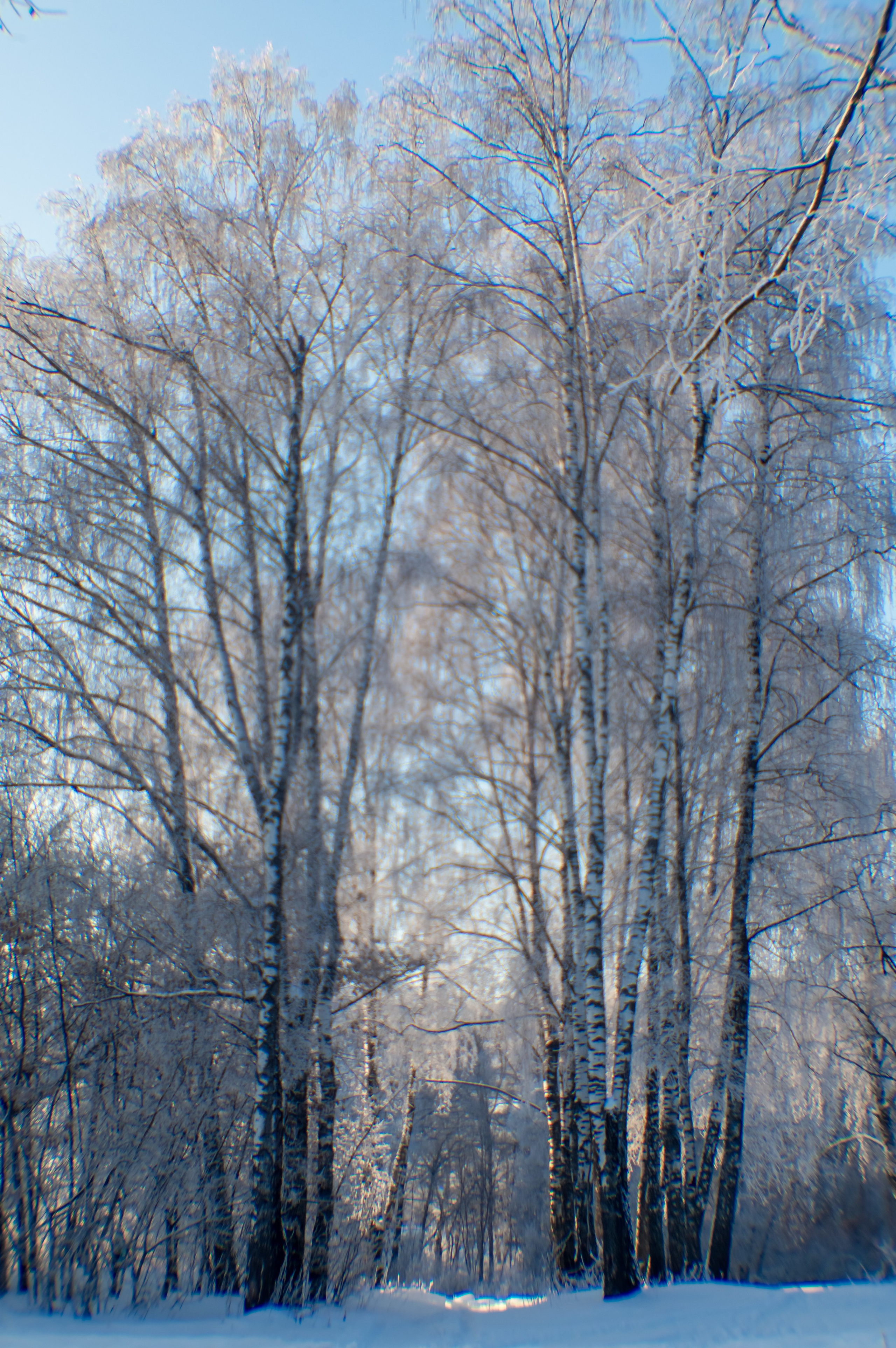 Зимушка зима. Фотограф Крещение Венчание Москва