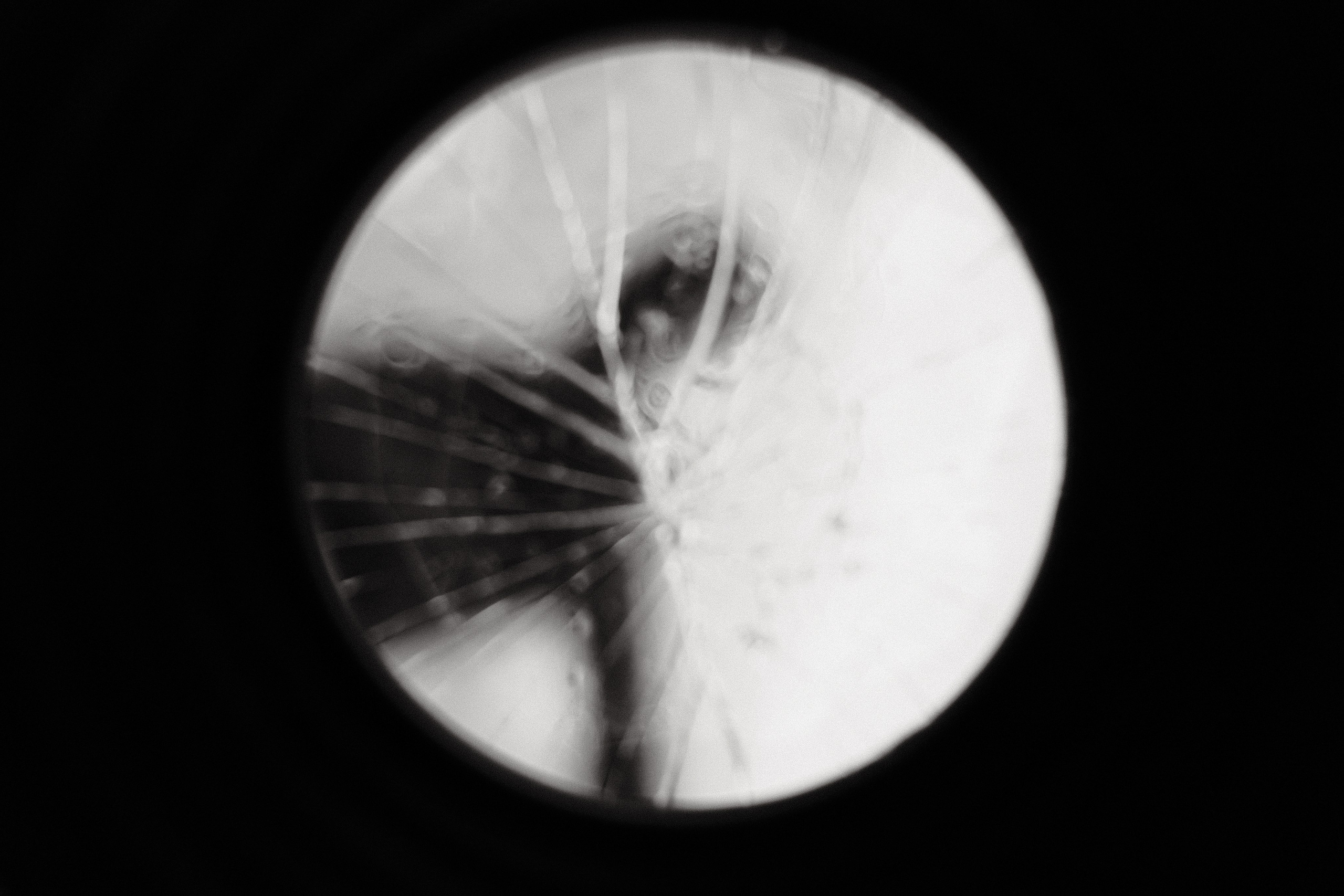 Фотосессии. Фото Портфолио Рустам Нерустам