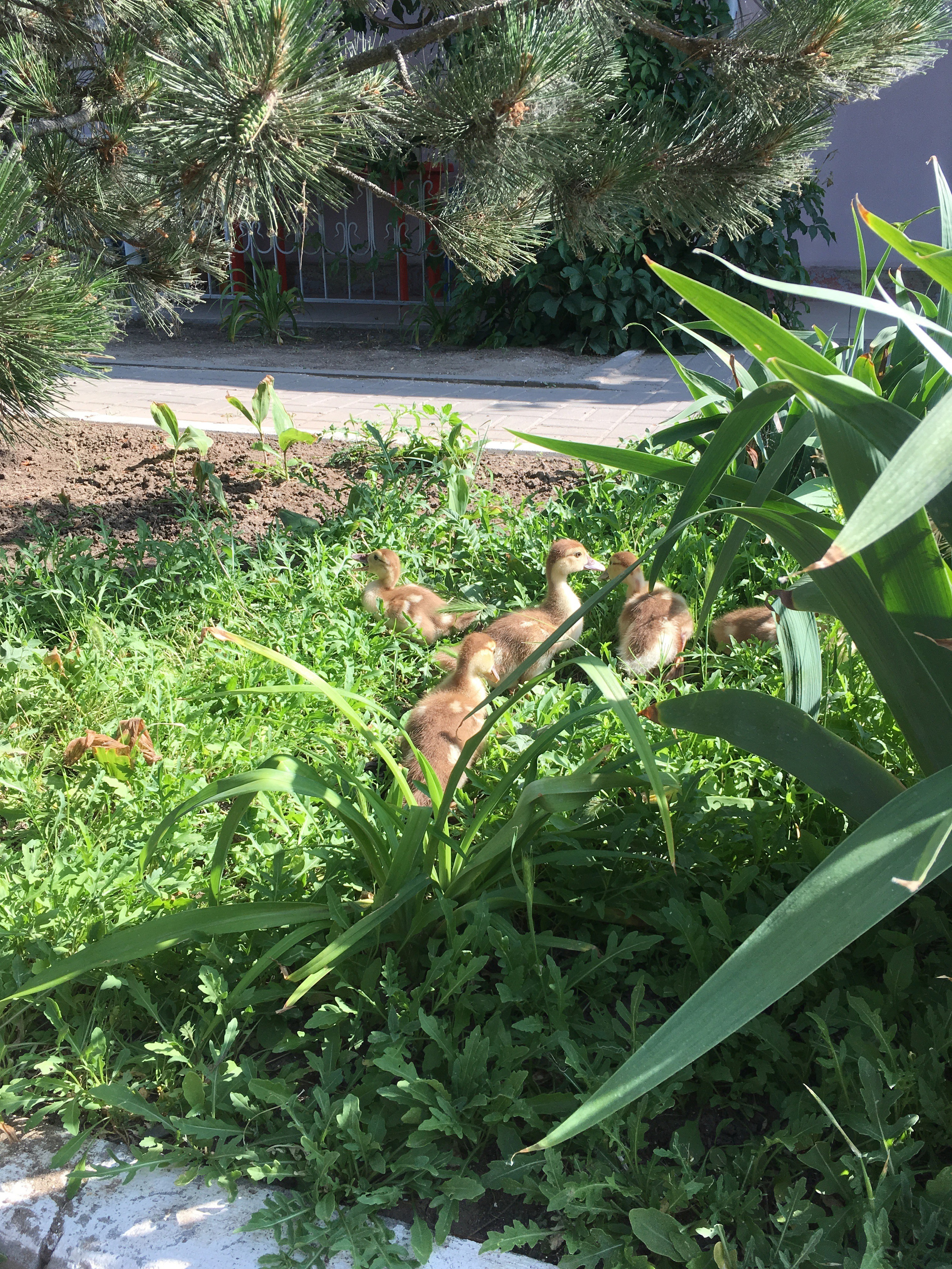 Азов -19. Своя Мастерская