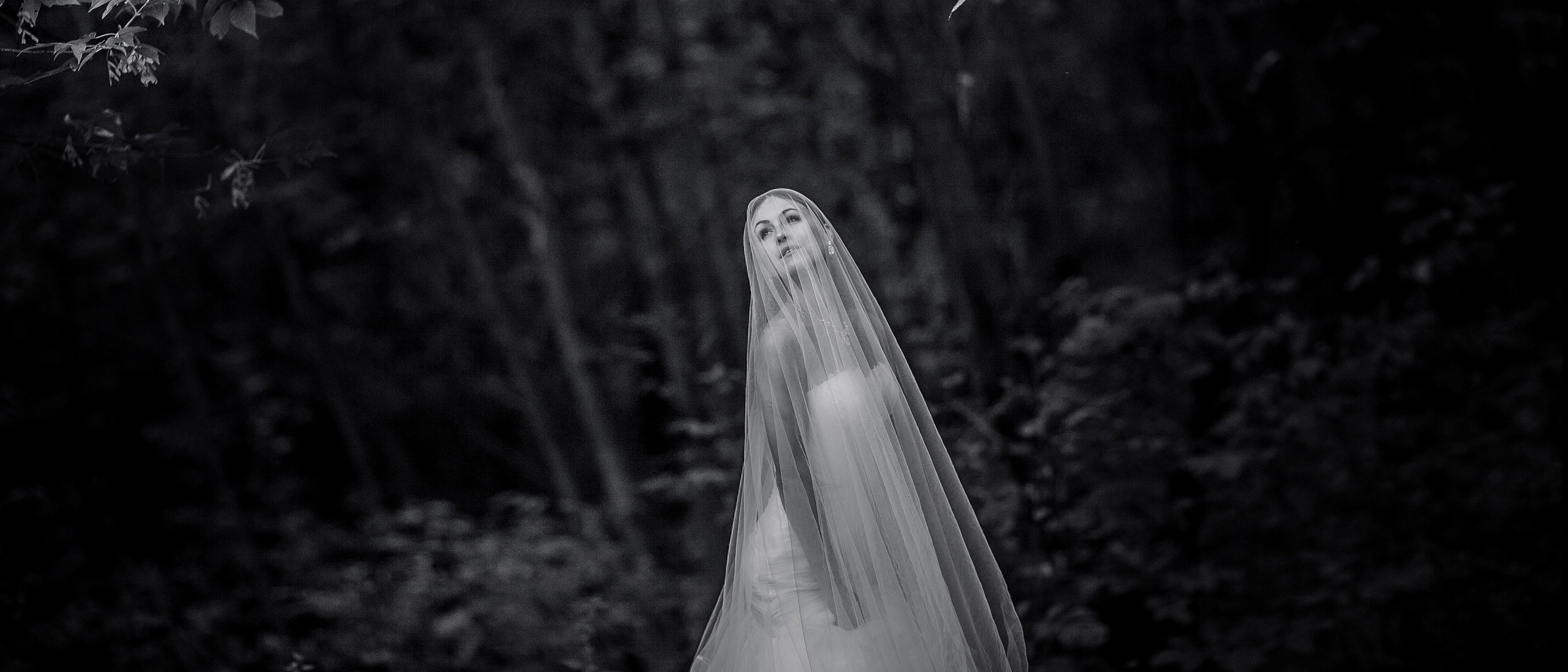 Свадебный фотограф в Гомеле Евгений Шлеменков