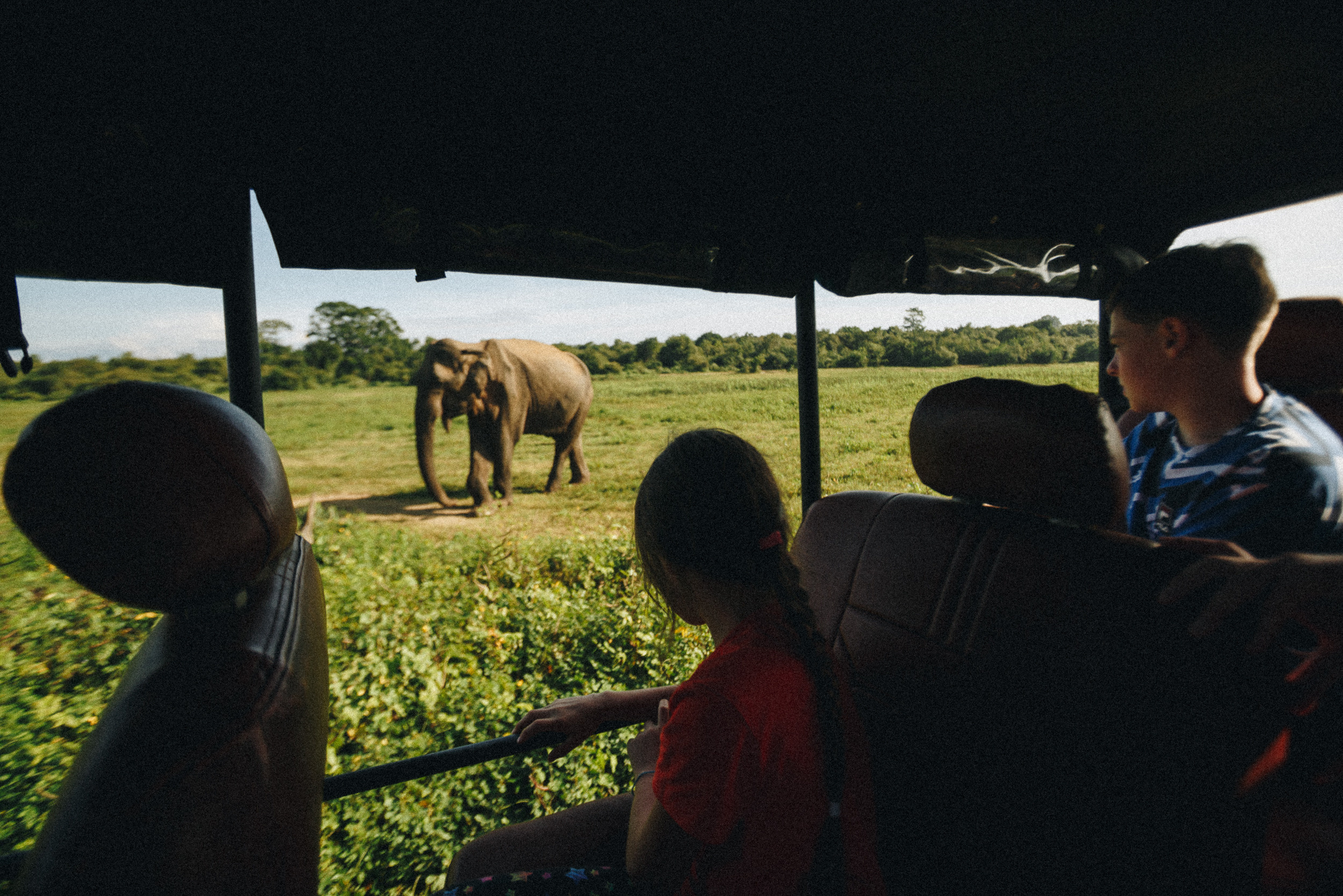 Family trip to Ella (Sri Lanka). Marina Kanygina (Fedoseeva) photography