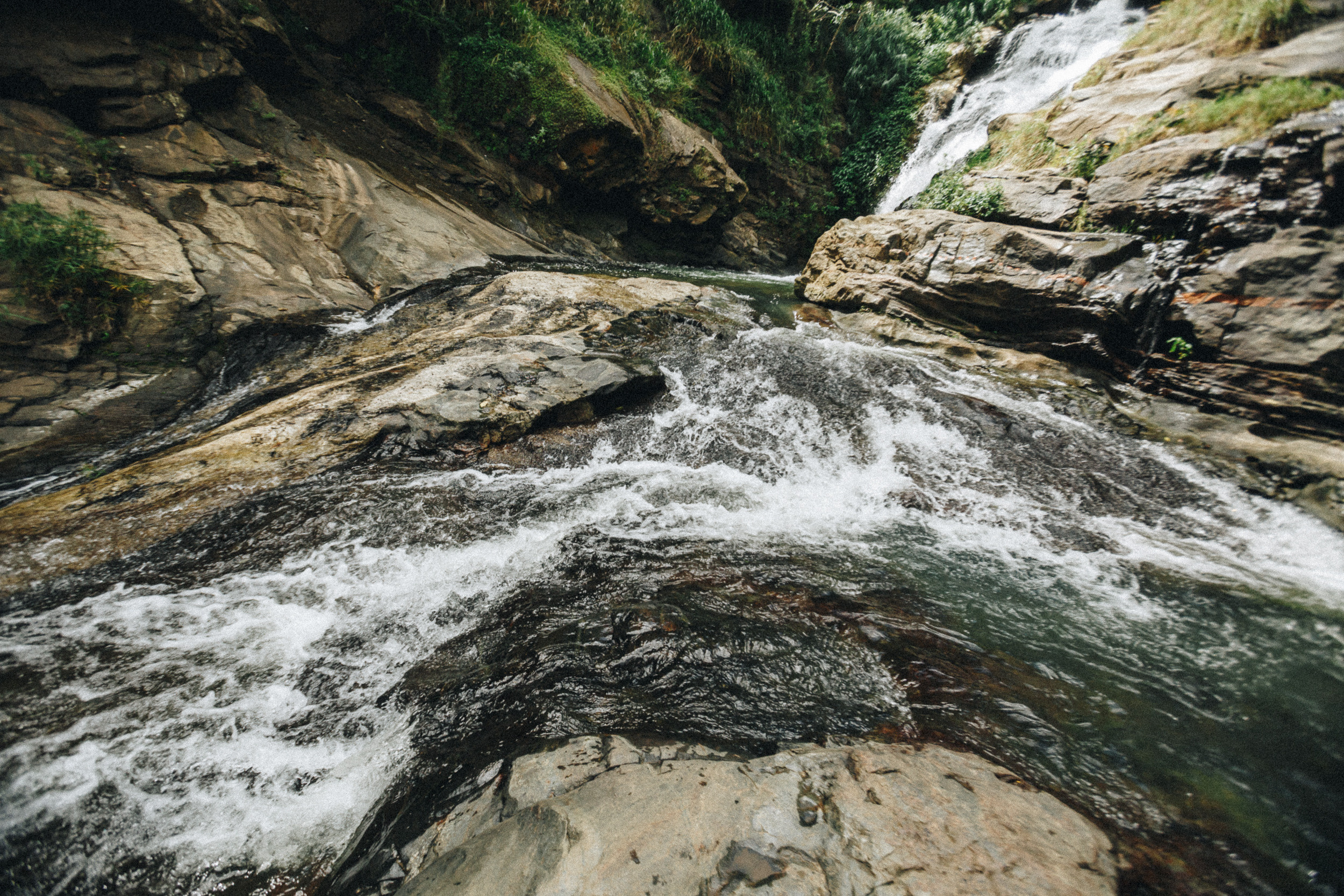 Family trip to Ella (Sri Lanka). Marina Kanygina (Fedoseeva) photography