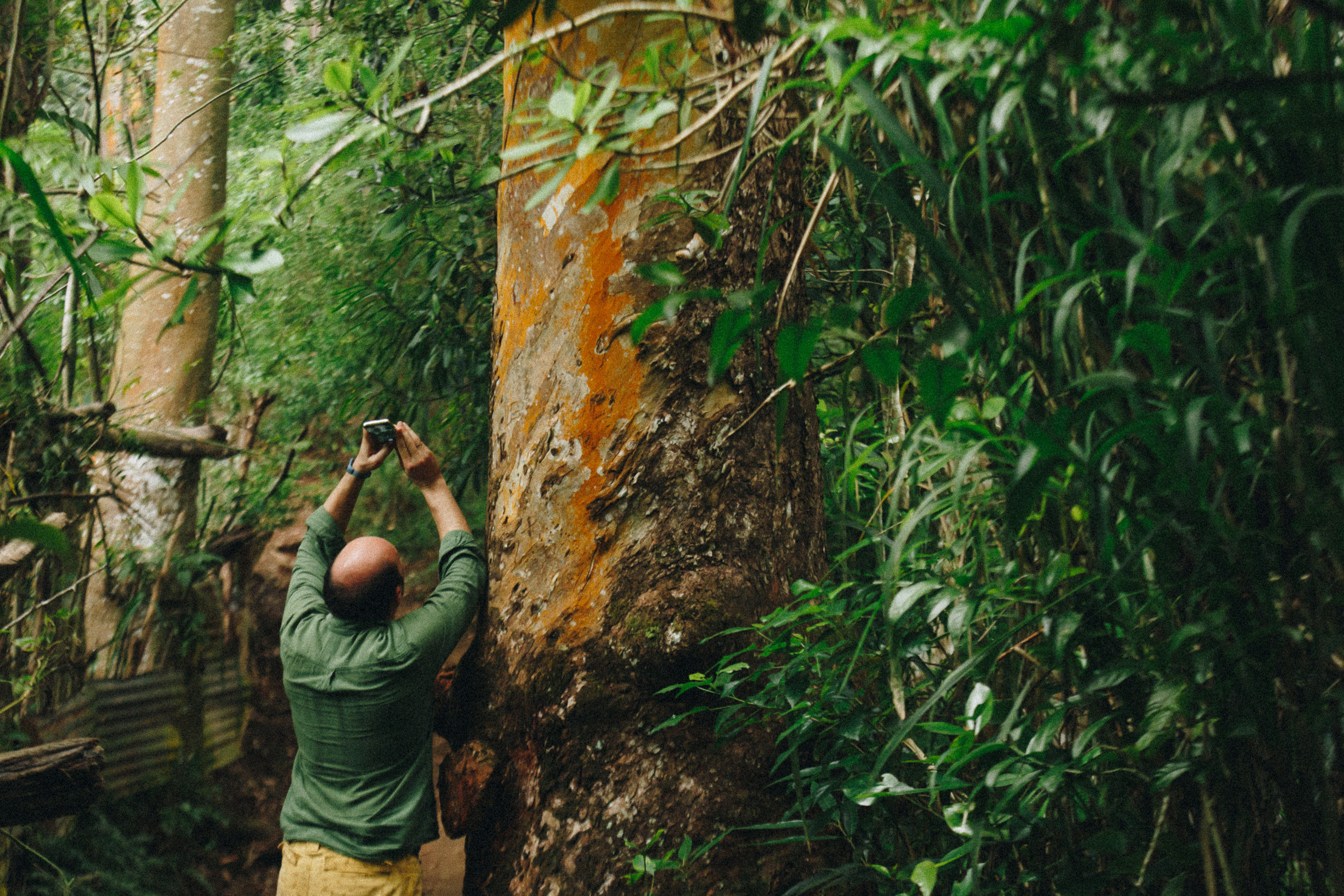 Family trip to Ella (Sri Lanka). Marina Kanygina (Fedoseeva) photography