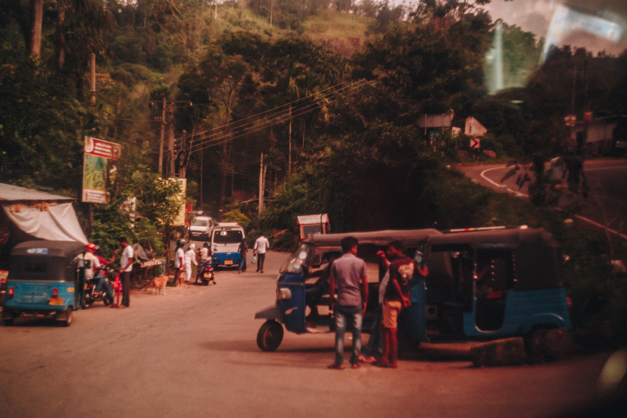 Family trip to Ella (Sri Lanka). Marina Kanygina (Fedoseeva) photography