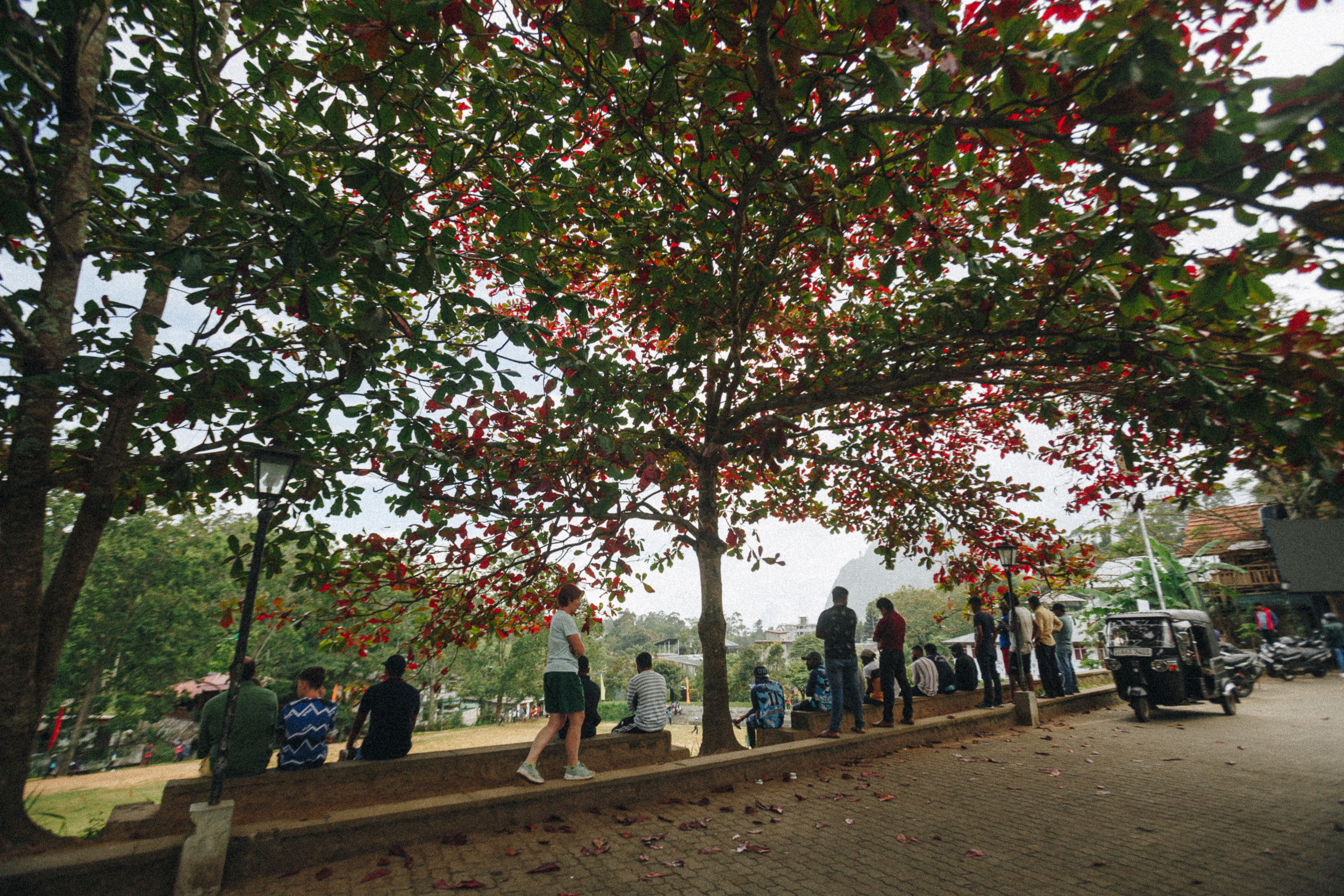 Family trip to Ella (Sri Lanka). Marina Kanygina (Fedoseeva) photography