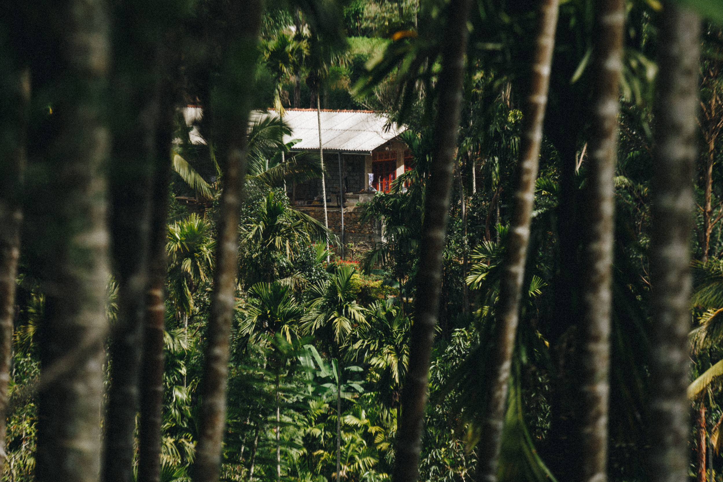 Family trip to Ella (Sri Lanka). Marina Kanygina (Fedoseeva) photography