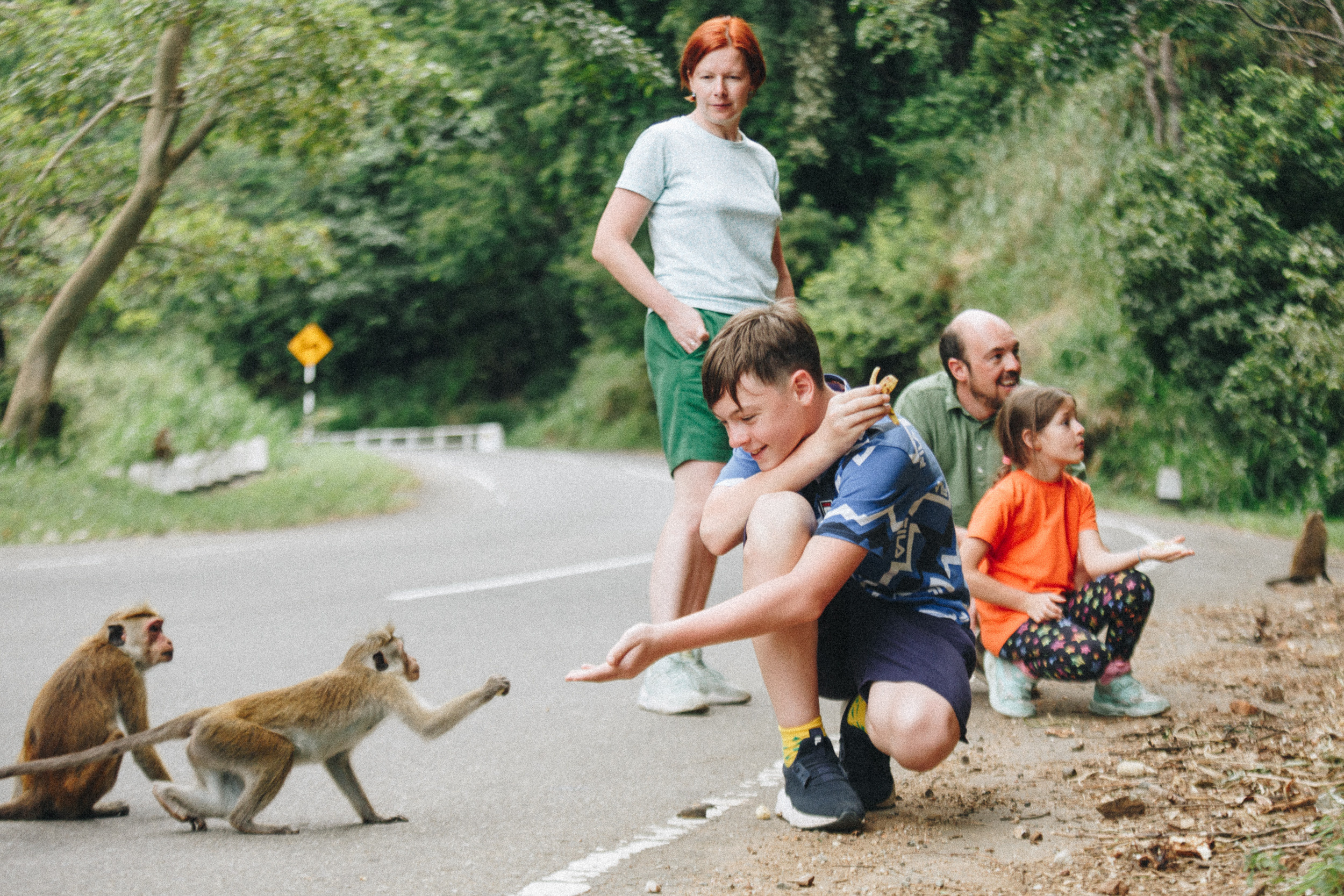 Family trip to Ella (Sri Lanka). Marina Kanygina (Fedoseeva) photography