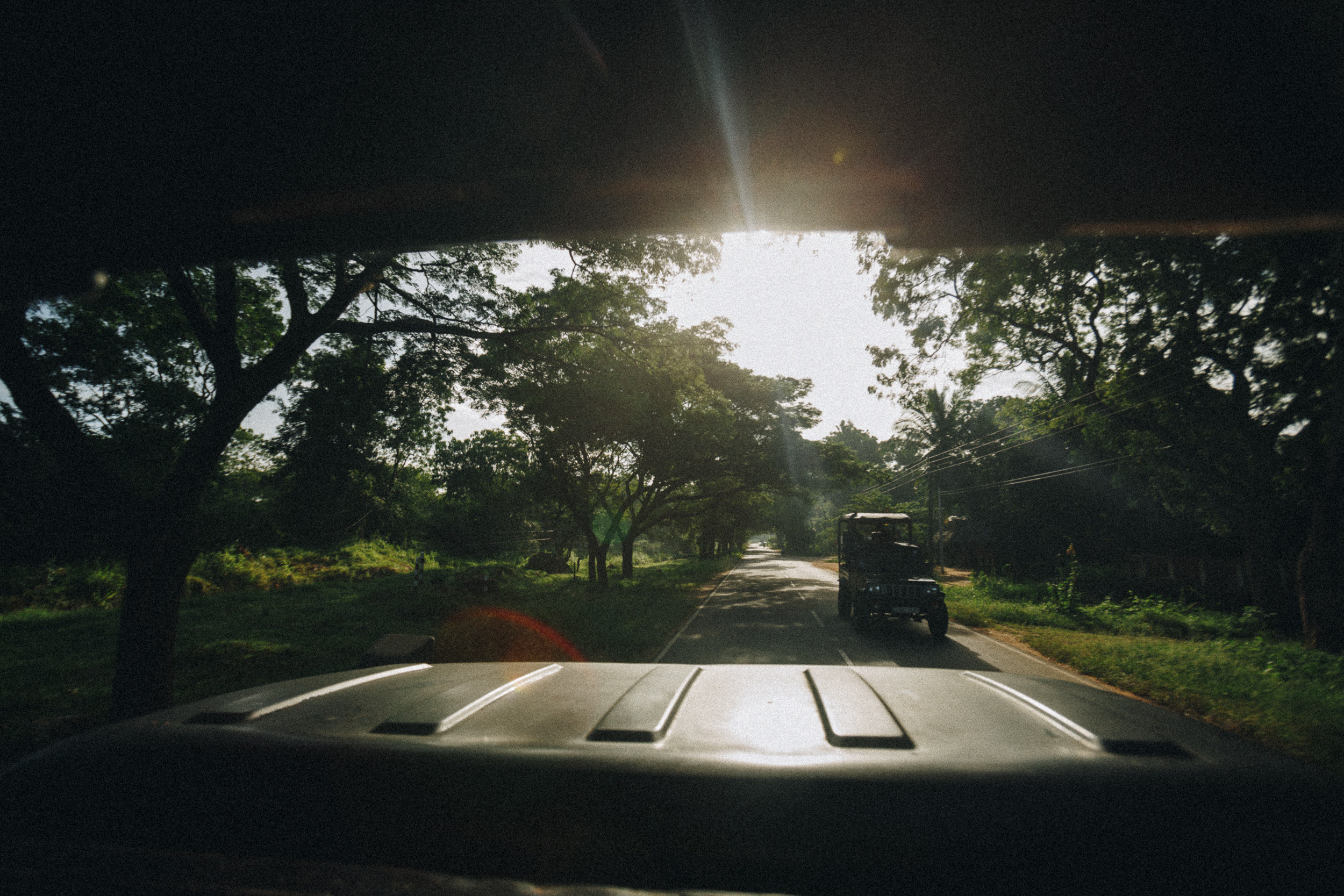 Family trip to Ella (Sri Lanka). Marina Kanygina (Fedoseeva) photography