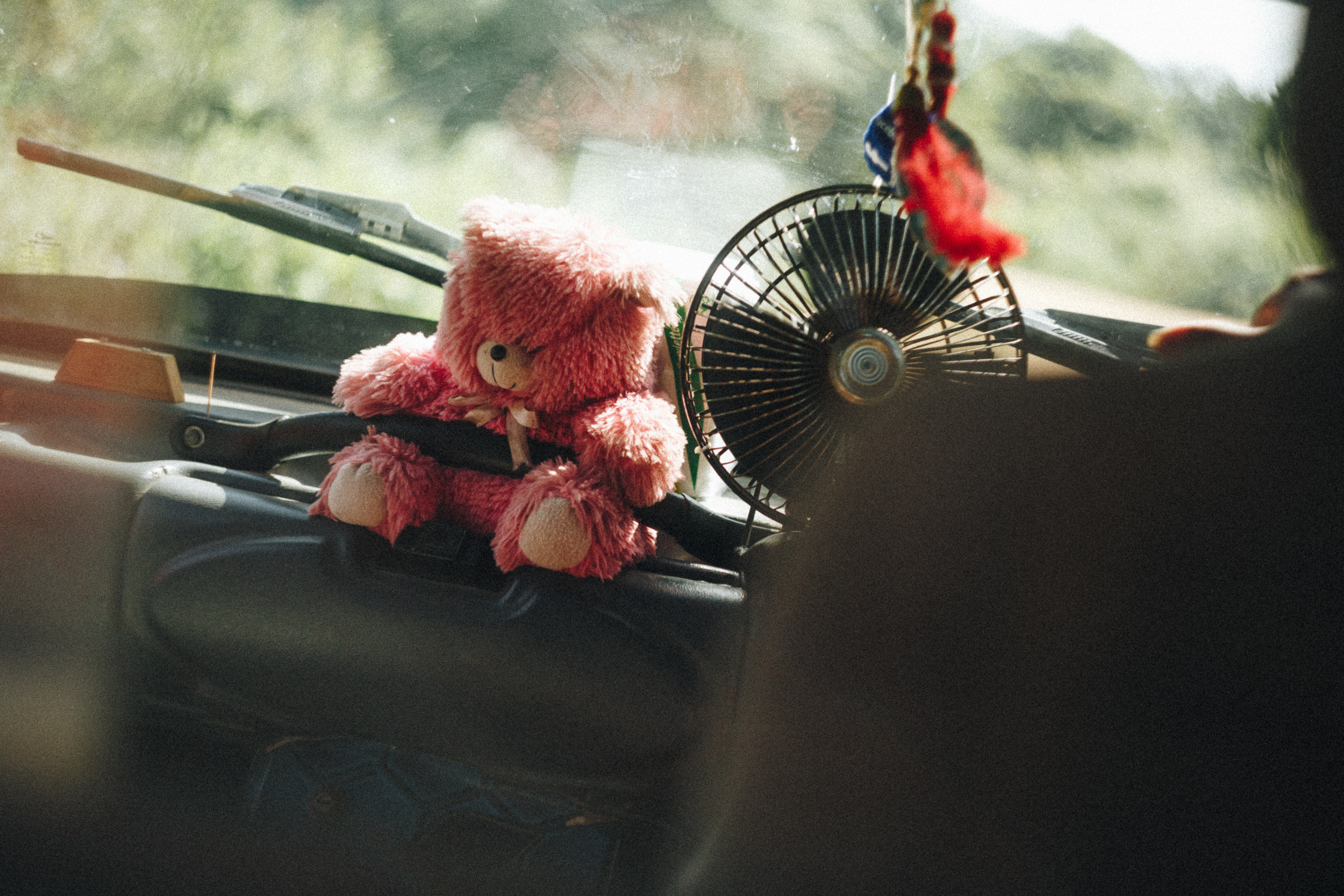 Journey to Ella (Sri Lanka). Marina Kanygina (Fedoseeva) photography