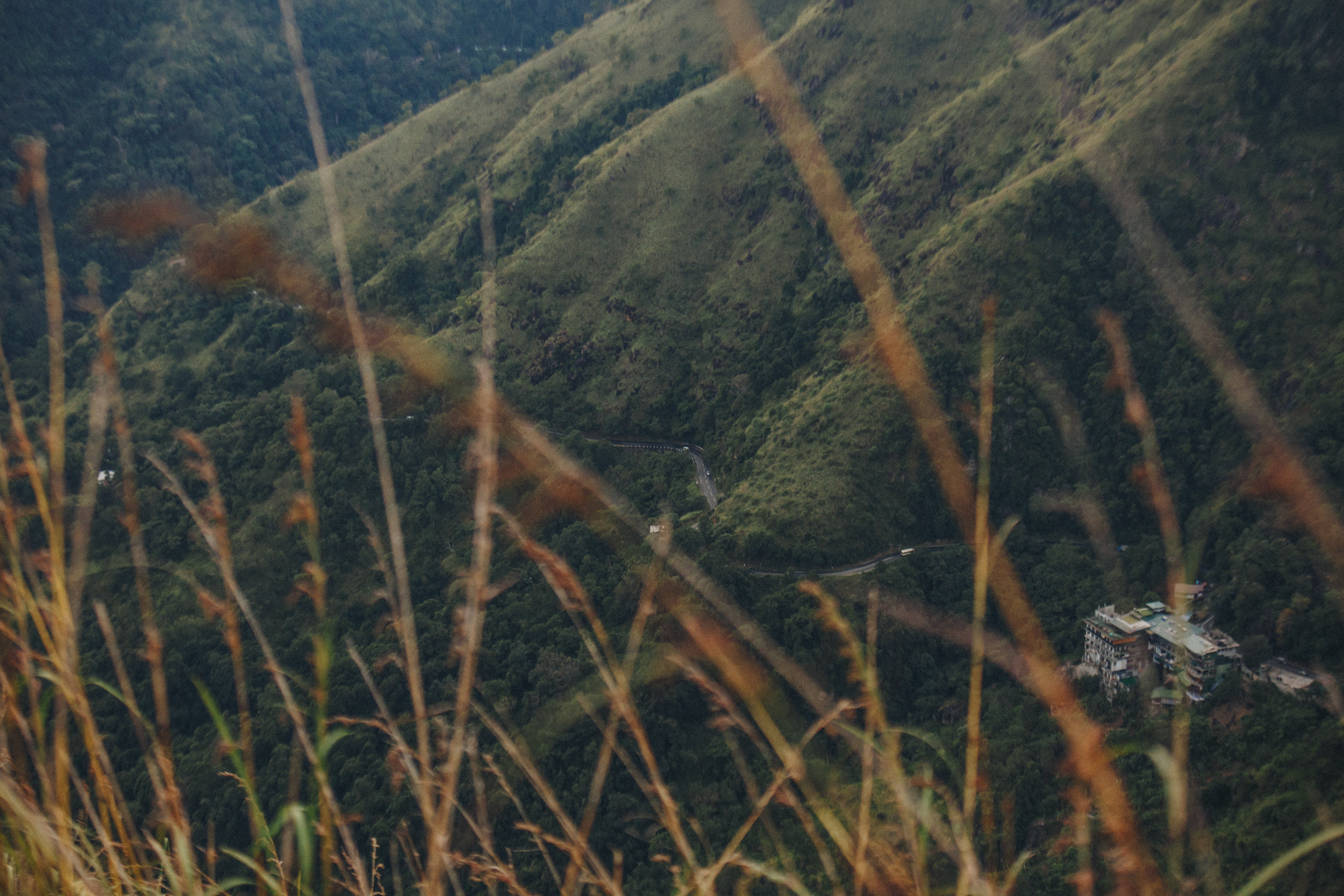 Family trip to Ella (Sri Lanka). Marina Kanygina (Fedoseeva) photography