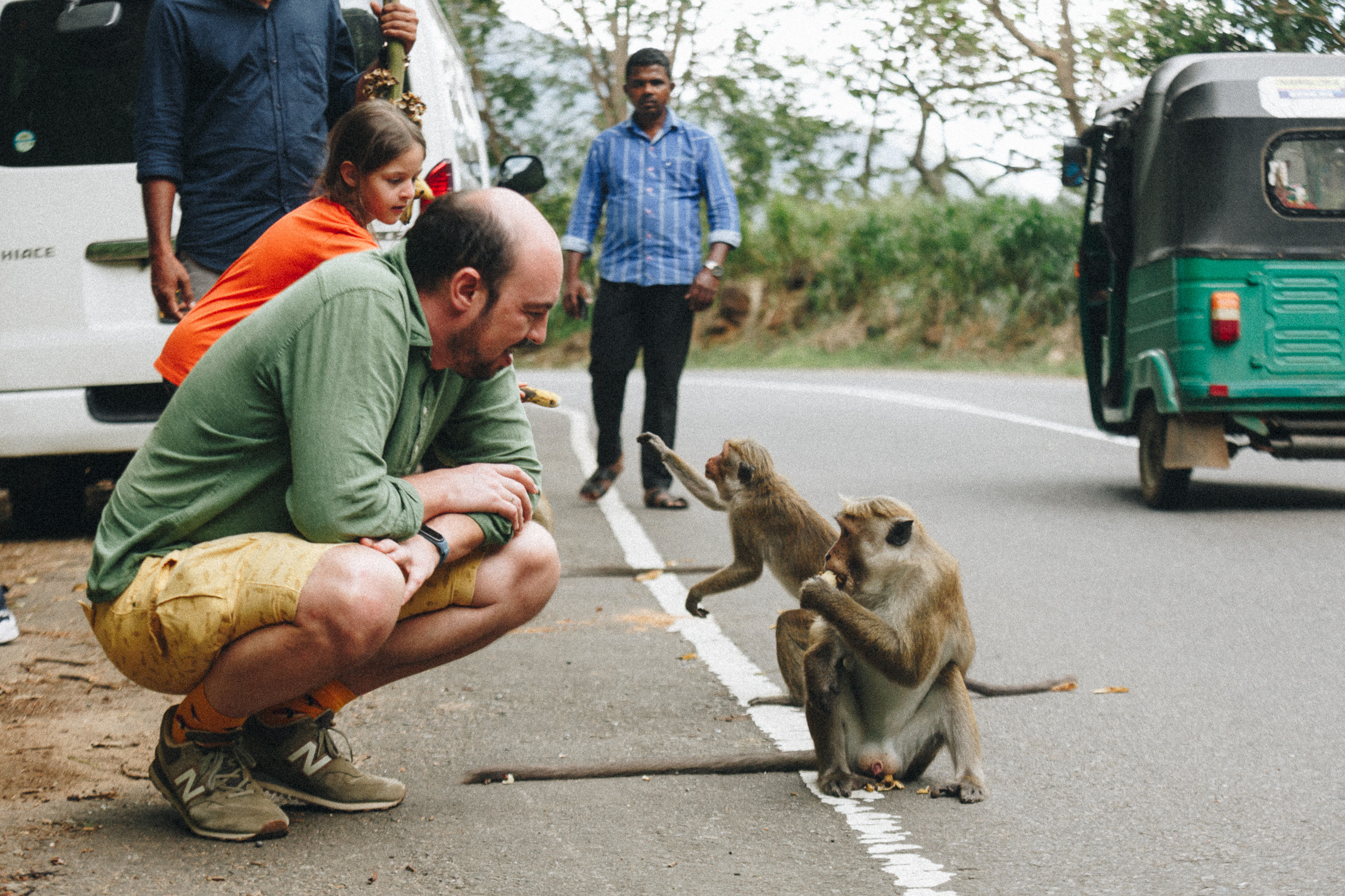 Journey to Ella (Sri Lanka). Marina Kanygina (Fedoseeva) photography