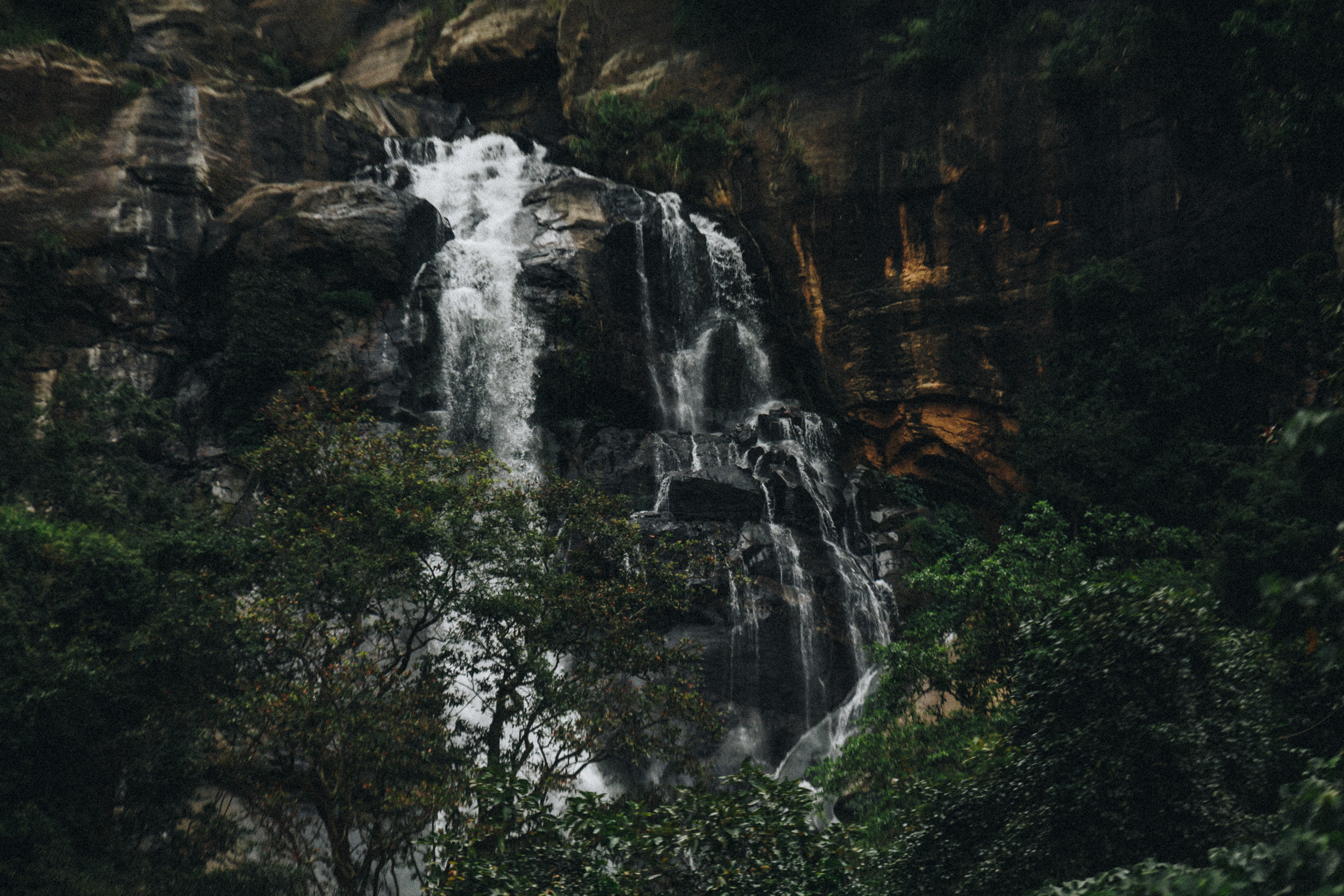 Journey to Ella (Sri Lanka). Marina Kanygina (Fedoseeva) photography