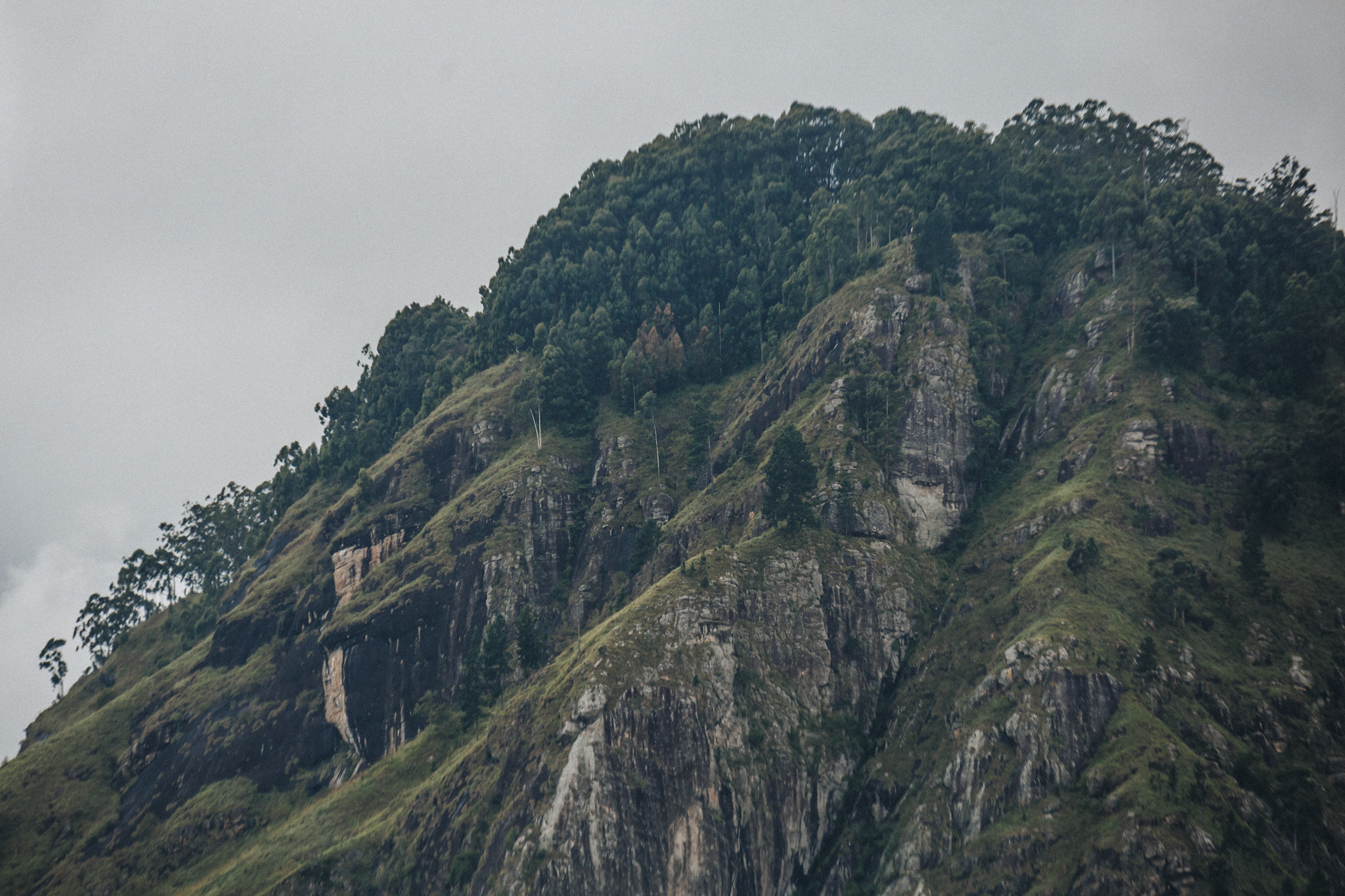 Family trip to Ella (Sri Lanka). Marina Kanygina (Fedoseeva) photography