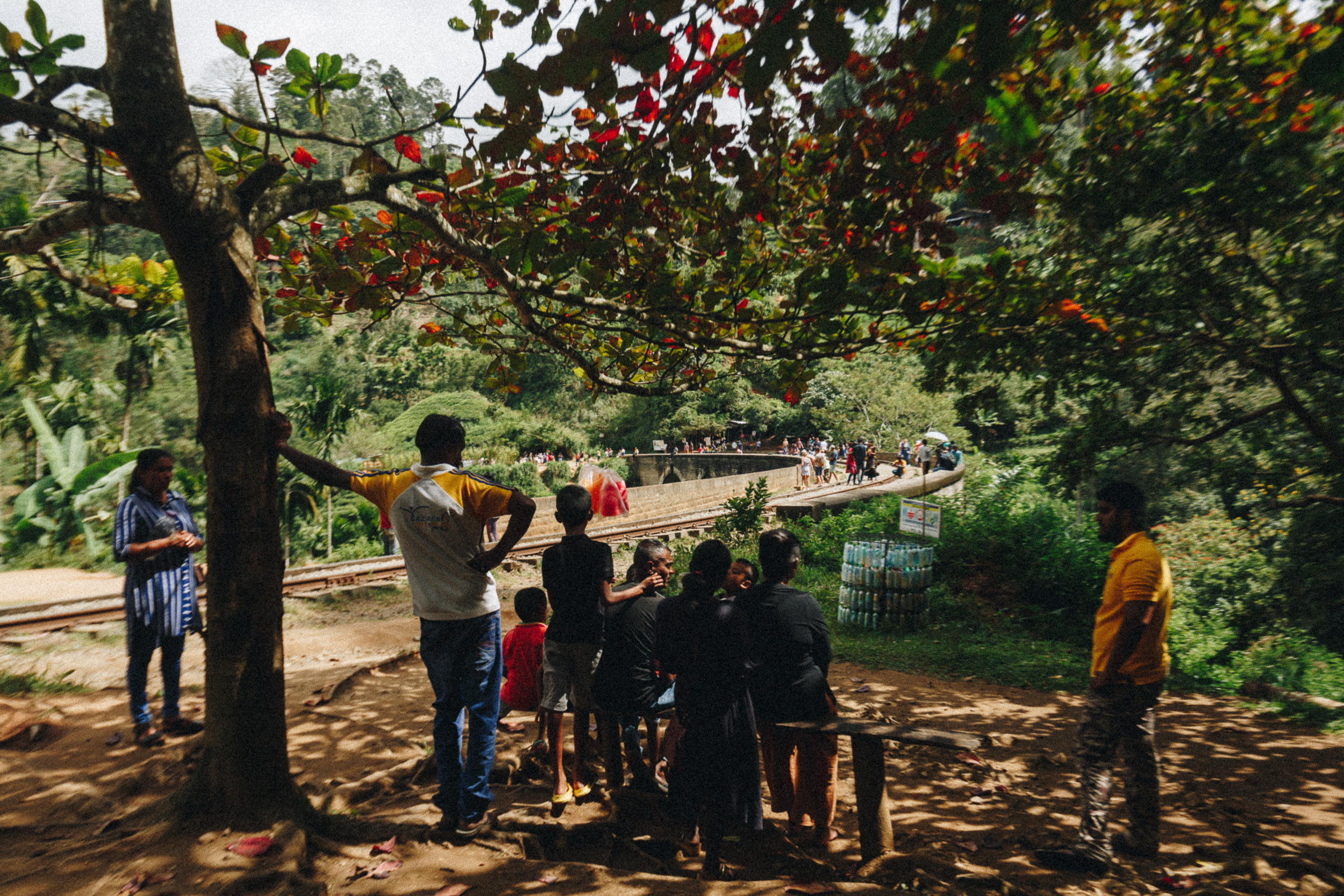 Journey to Ella (Sri Lanka). Marina Kanygina (Fedoseeva) photography