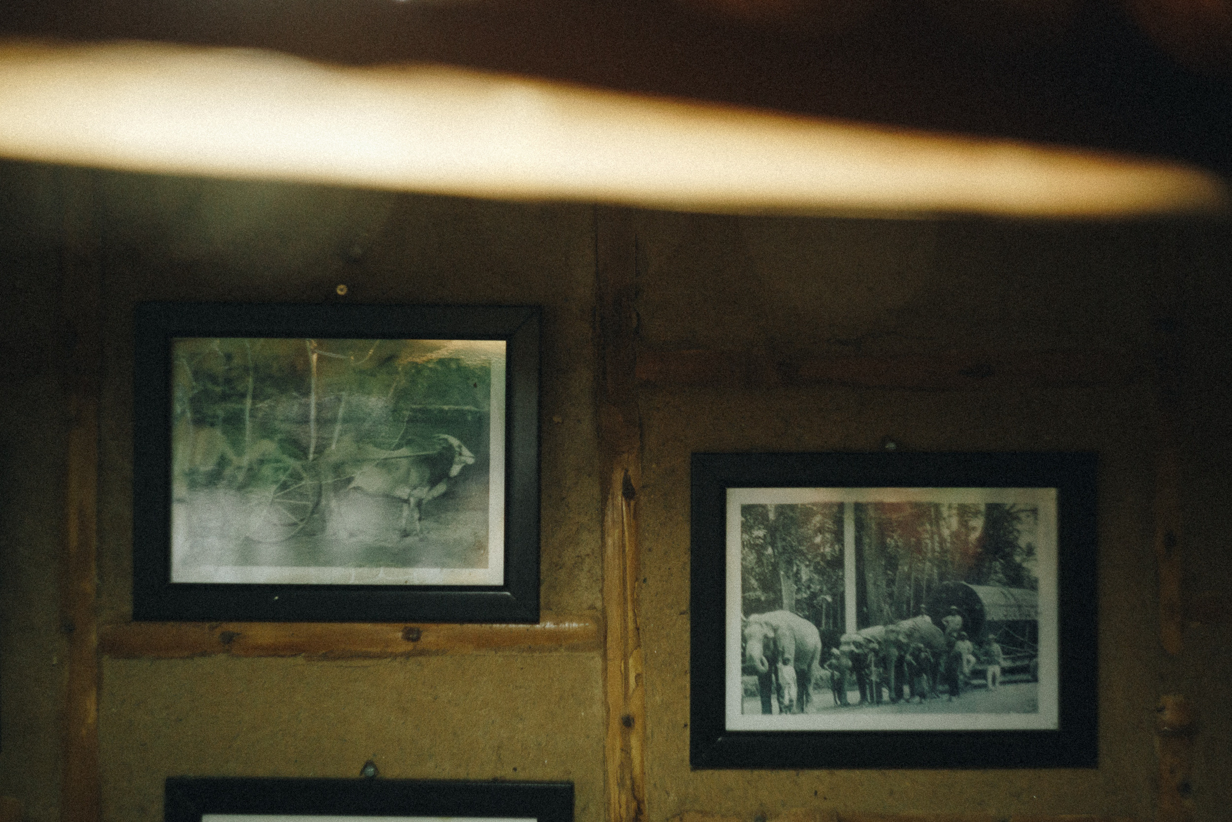 Family trip to Ella (Sri Lanka). Marina Kanygina (Fedoseeva) photography