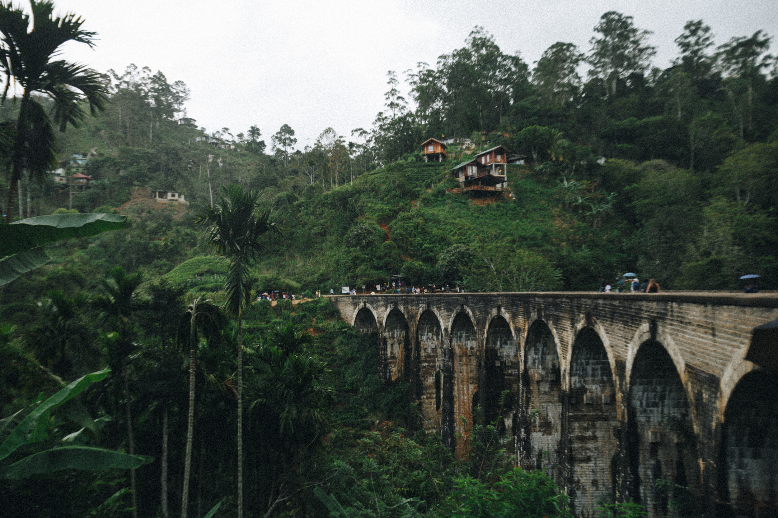Journey to Ella (Sri Lanka). Marina Kanygina (Fedoseeva) photography