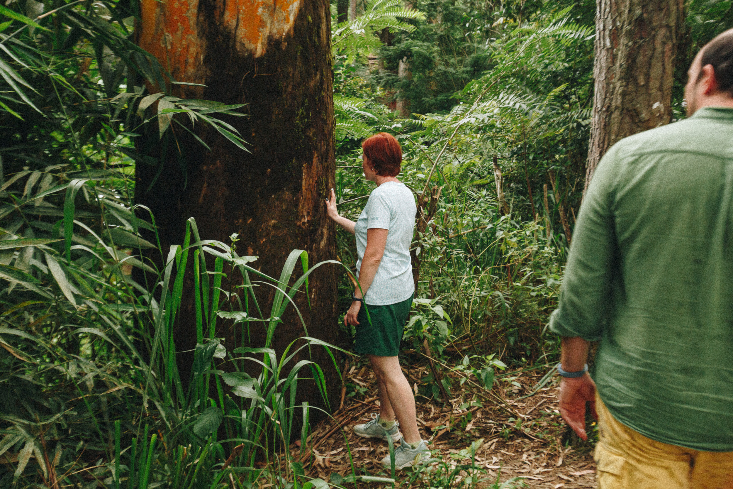 Journey to Ella (Sri Lanka). Marina Kanygina (Fedoseeva) photography