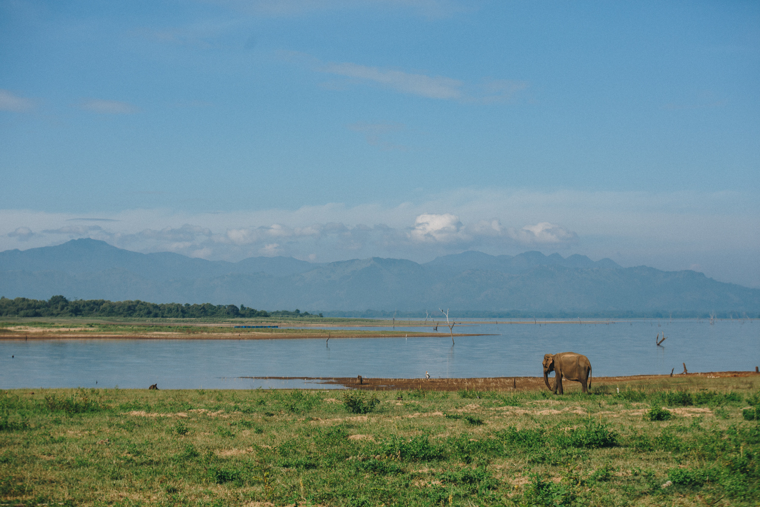 Journey to Ella (Sri Lanka). Marina Kanygina (Fedoseeva) photography