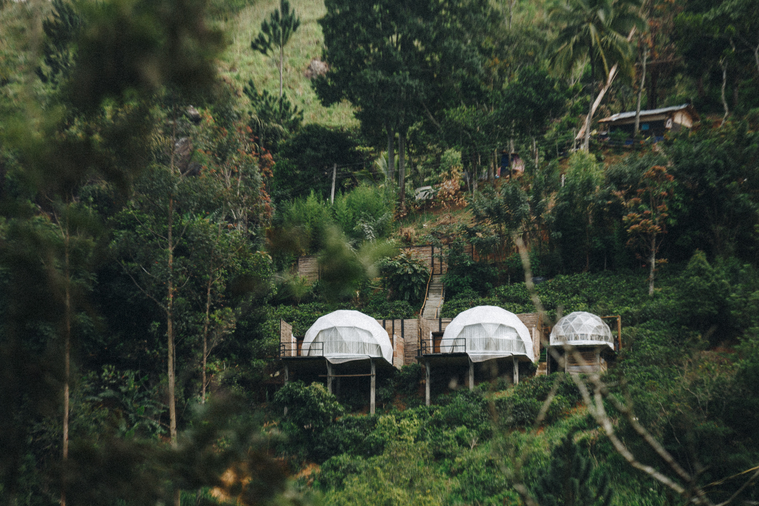 Journey to Ella (Sri Lanka). Marina Kanygina (Fedoseeva) photography
