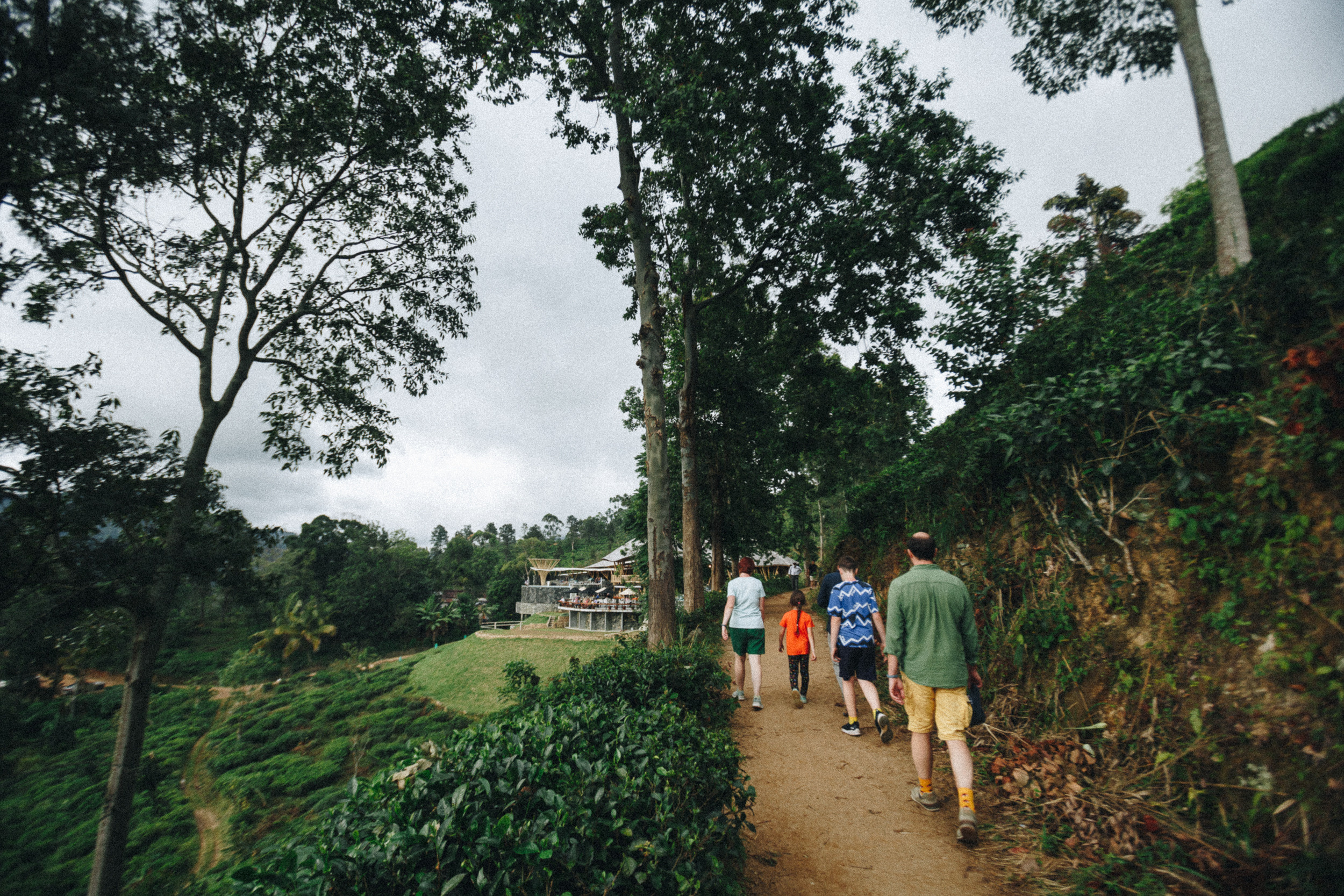 Journey to Ella (Sri Lanka). Marina Kanygina (Fedoseeva) photography
