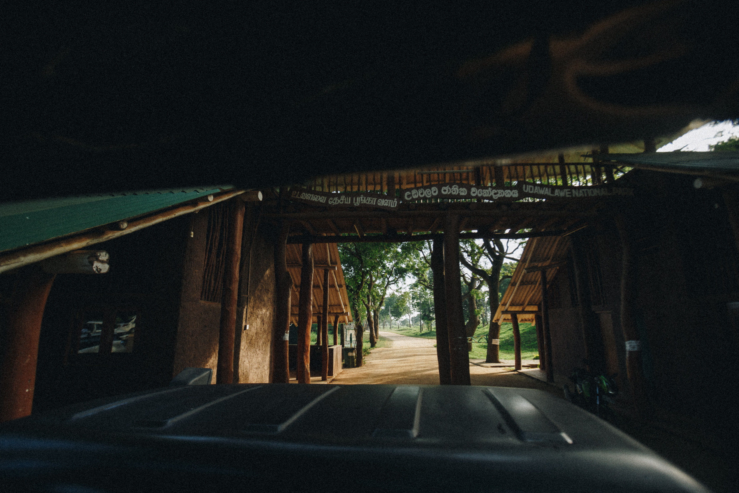 Journey to Ella (Sri Lanka). Marina Kanygina (Fedoseeva) photography