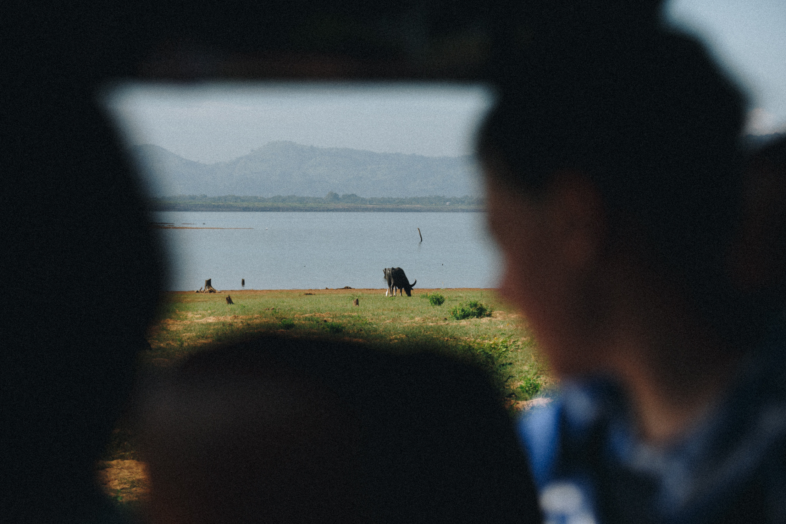 Journey to Ella (Sri Lanka). Marina Kanygina (Fedoseeva) photography