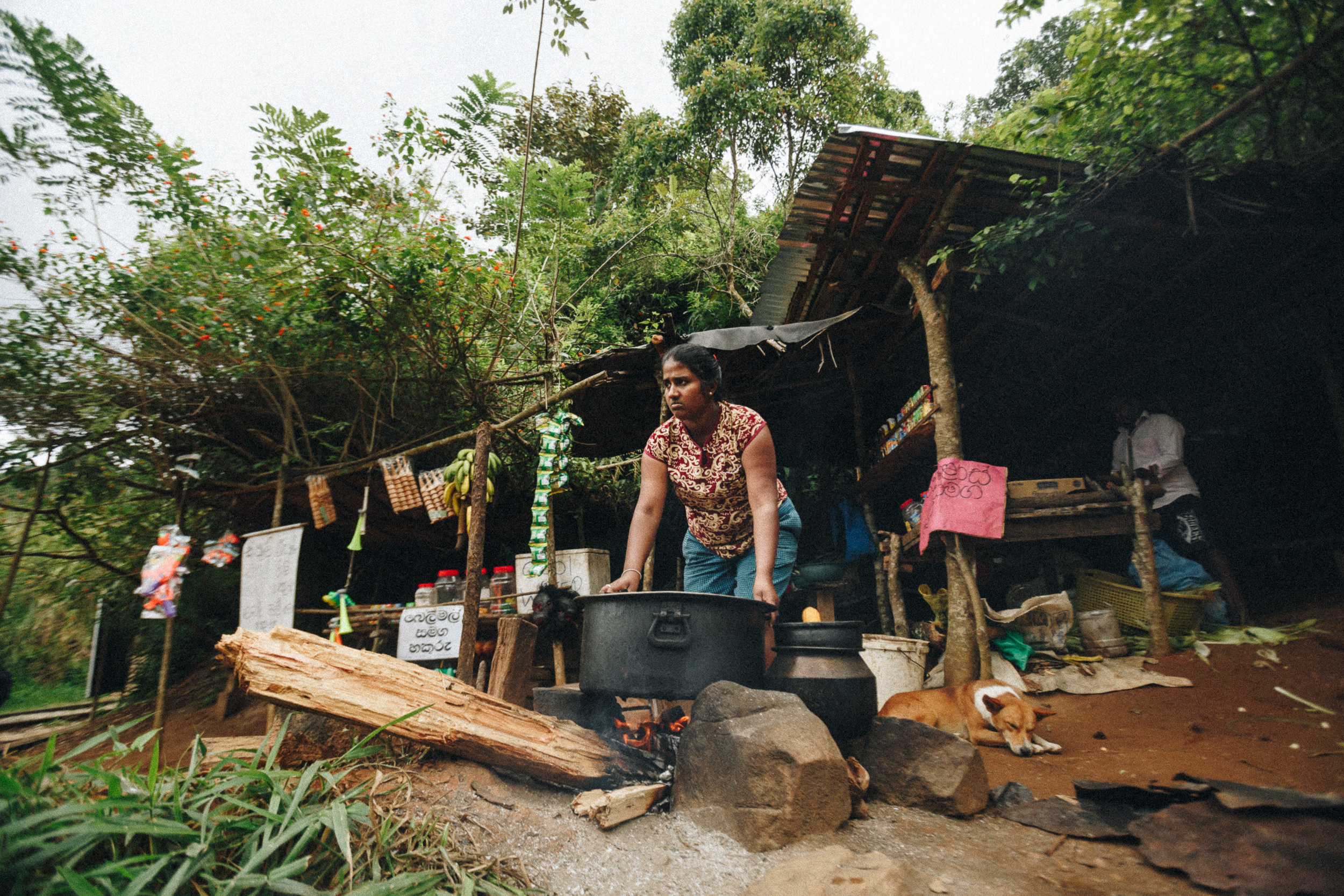 Family trip to Ella (Sri Lanka). Marina Kanygina (Fedoseeva) photography