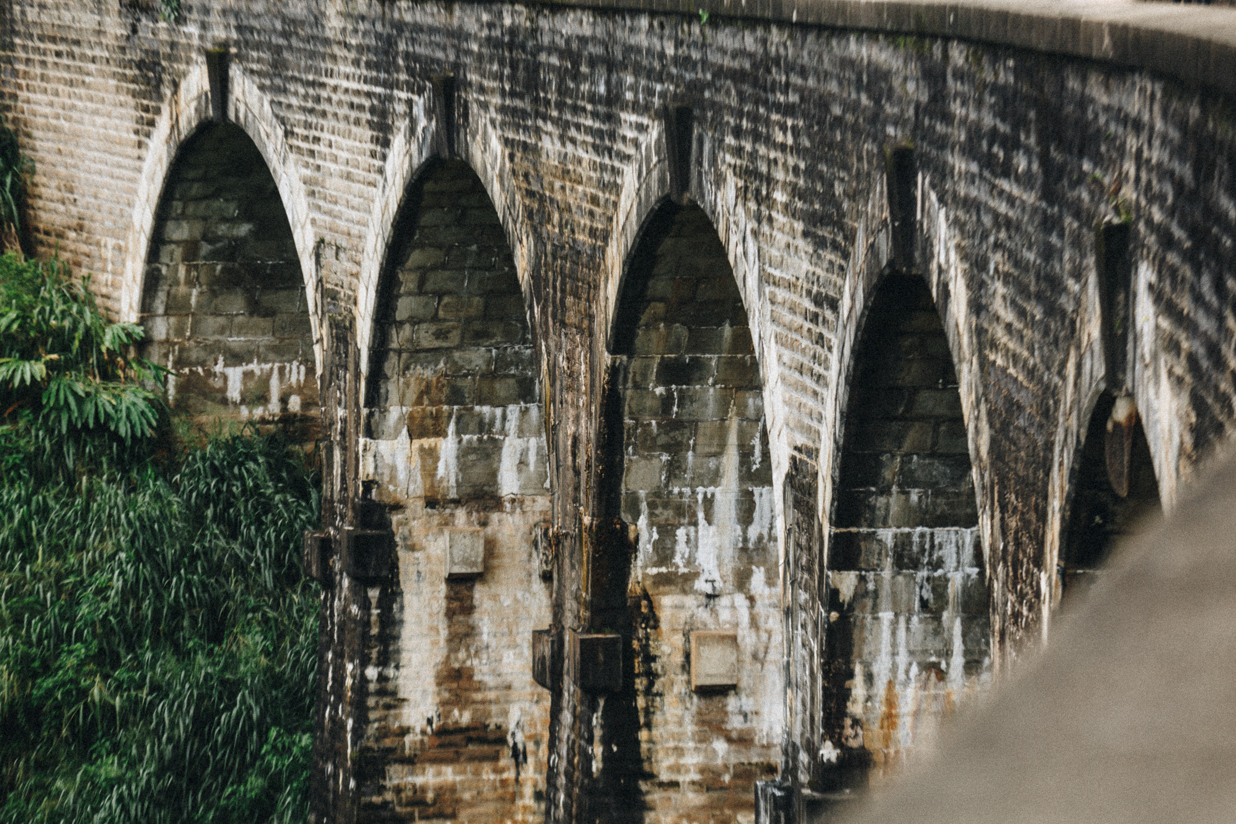 Journey to Ella (Sri Lanka). Marina Kanygina (Fedoseeva) photography