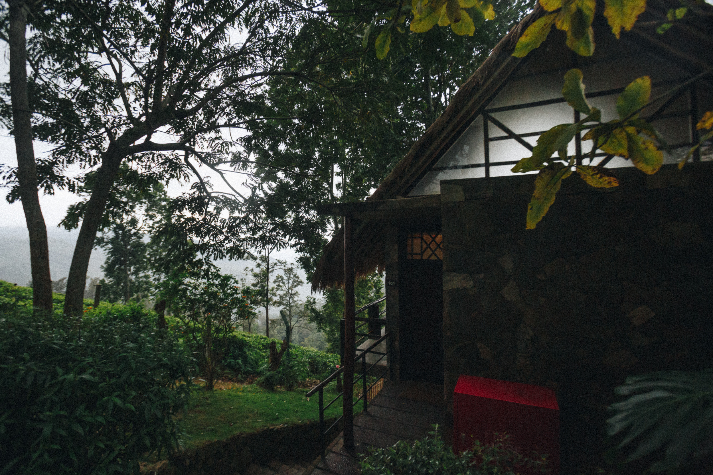 Journey to Ella (Sri Lanka). Marina Kanygina (Fedoseeva) photography