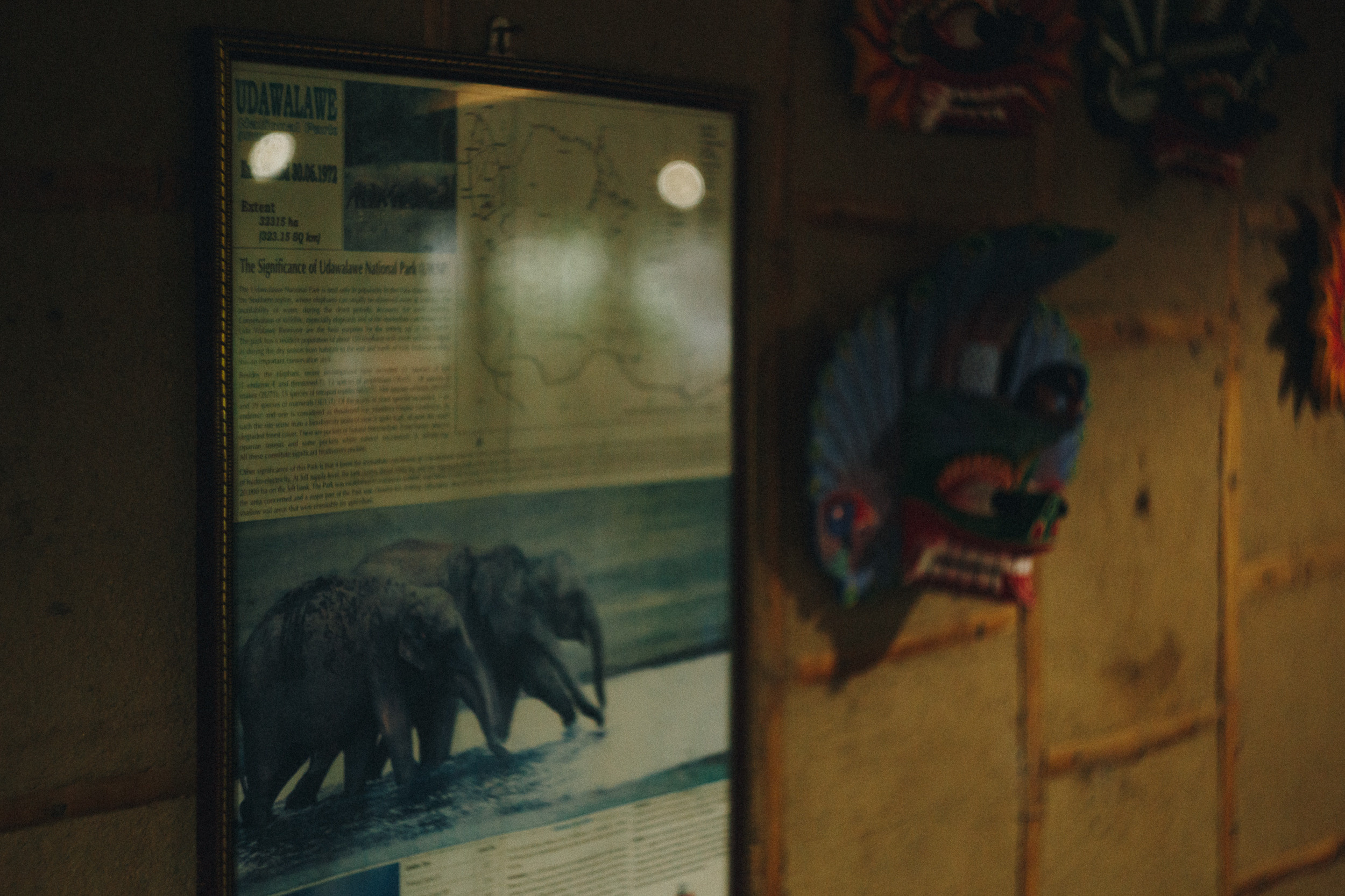 Journey to Ella (Sri Lanka). Marina Kanygina (Fedoseeva) photography