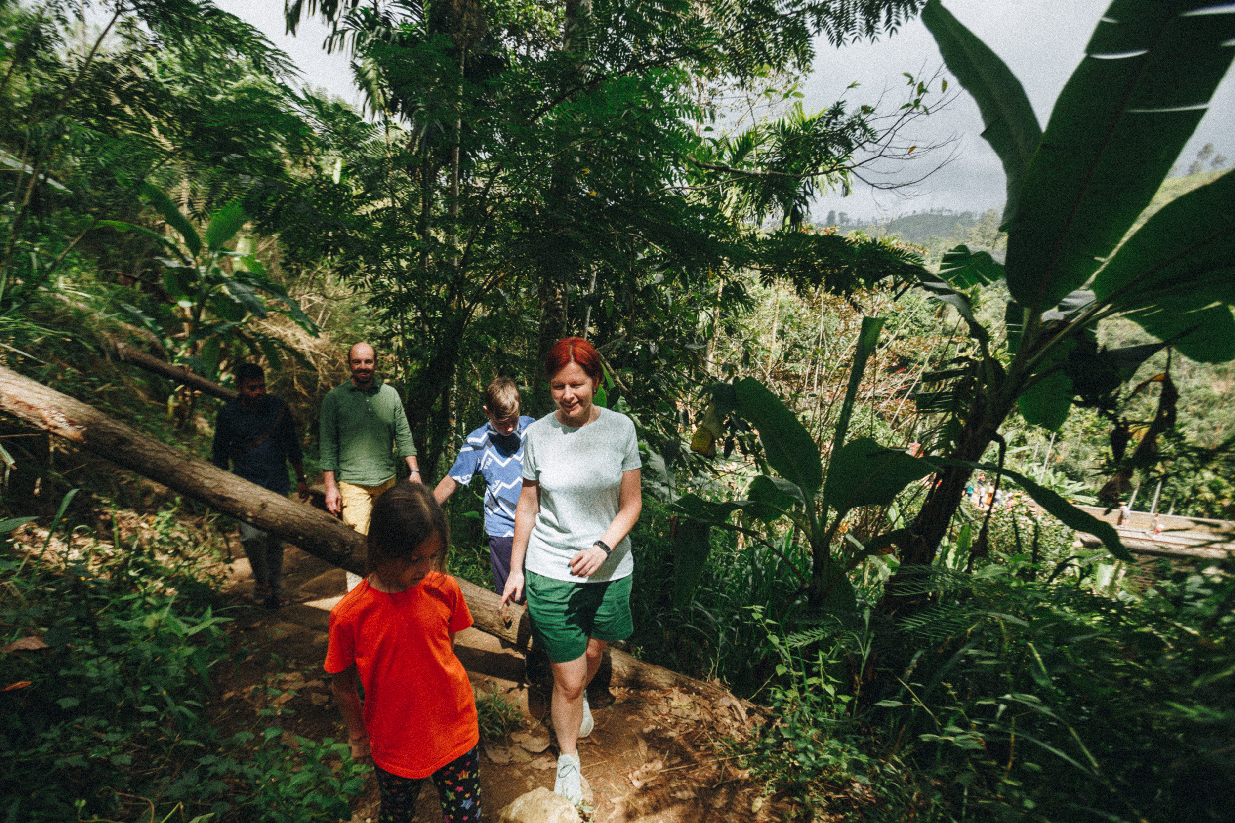 Journey to Ella (Sri Lanka). Marina Kanygina (Fedoseeva) photography