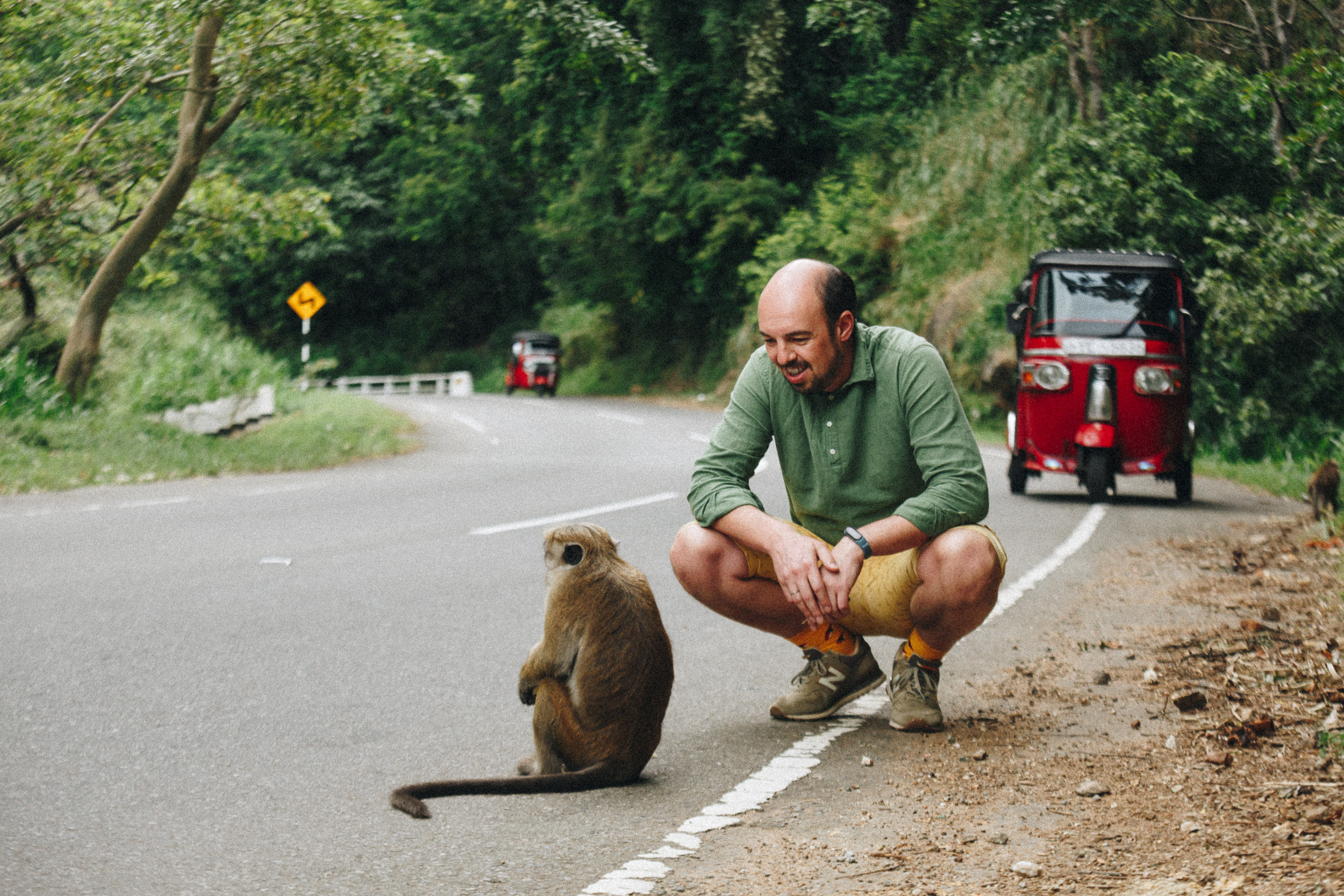 Journey to Ella (Sri Lanka). Marina Kanygina (Fedoseeva) photography