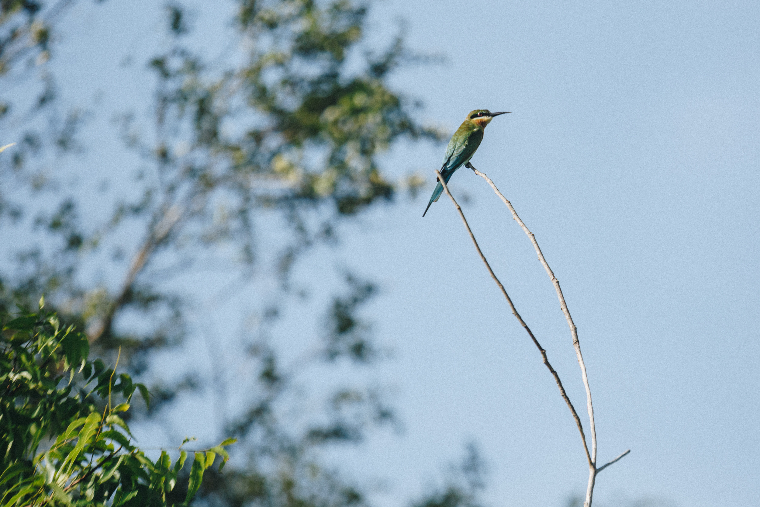 Family trip to Ella (Sri Lanka). Marina Kanygina (Fedoseeva) photography