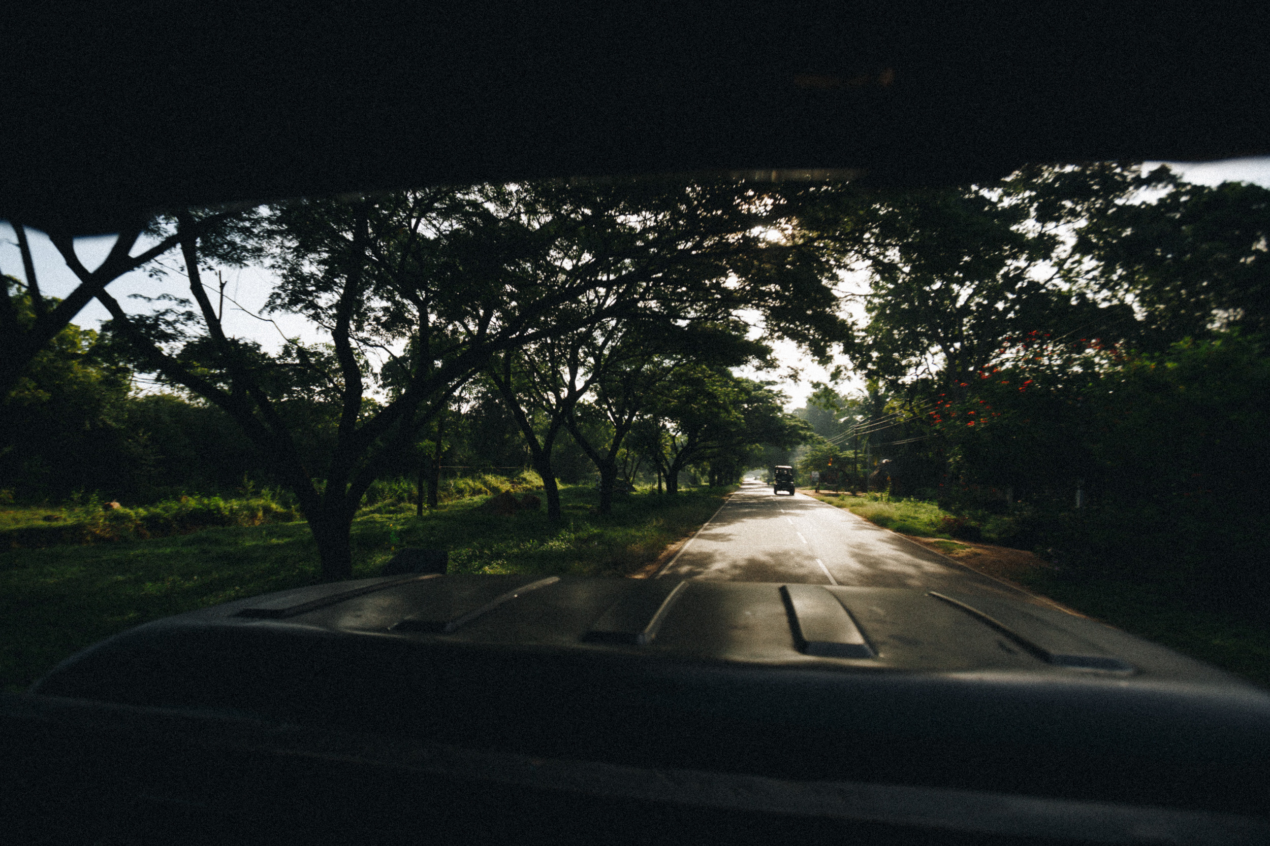 Journey to Ella (Sri Lanka). Marina Kanygina (Fedoseeva) photography