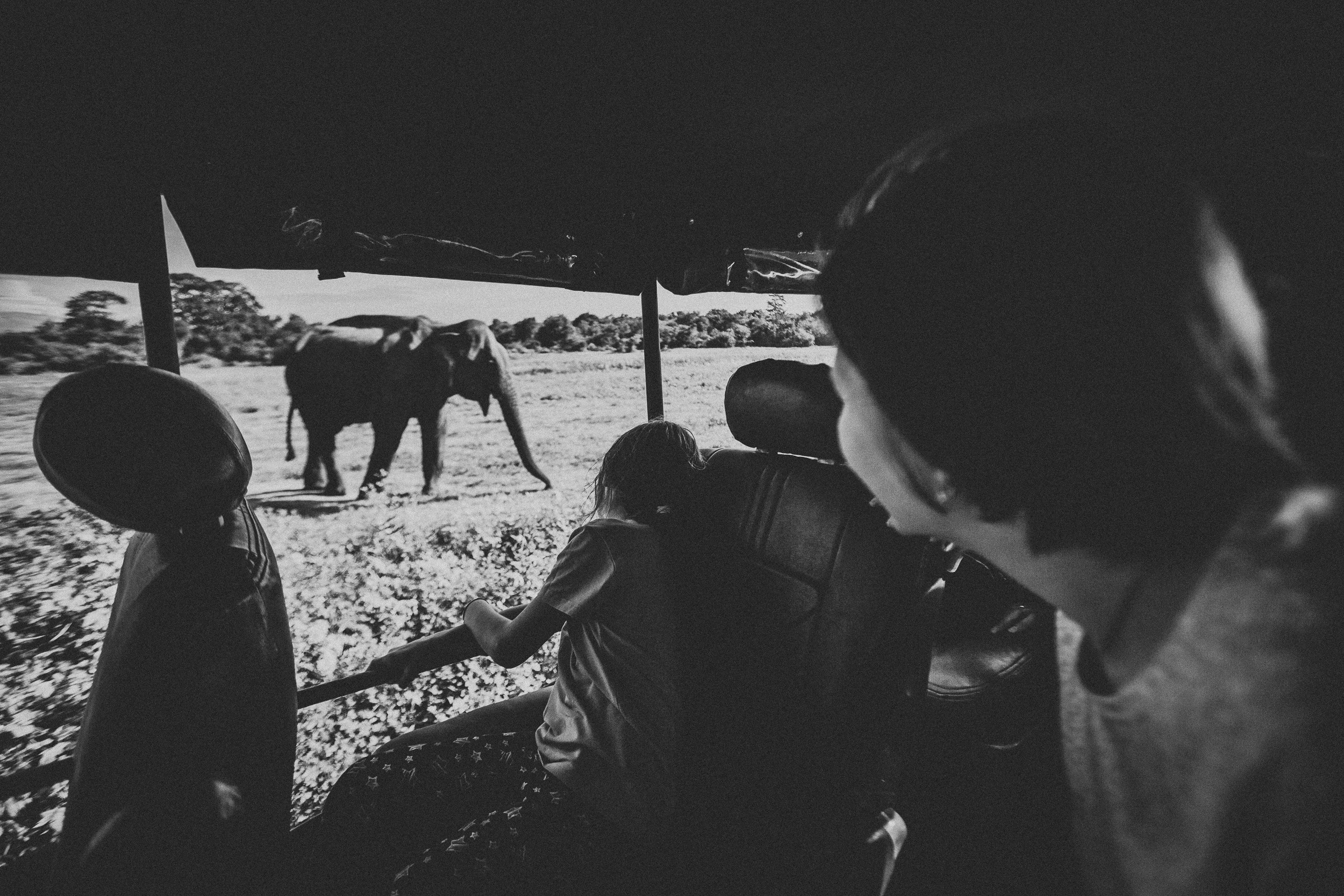 Journey to Ella (Sri Lanka). Marina Kanygina (Fedoseeva) photography