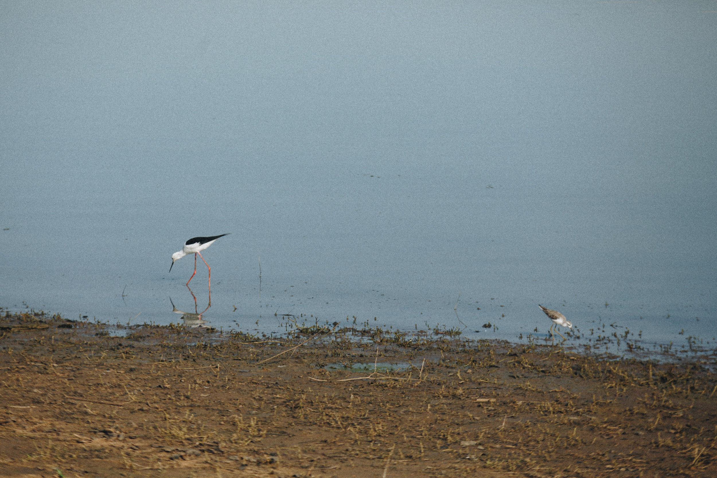 Journey to Ella (Sri Lanka). Marina Kanygina (Fedoseeva) photography