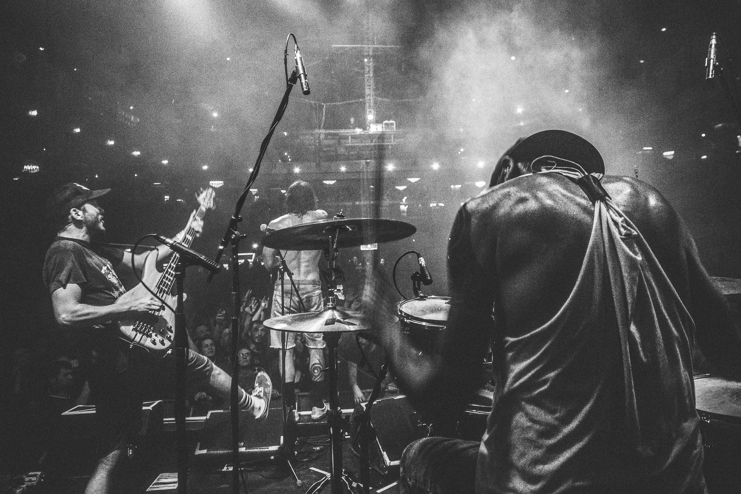 PLEYMO. Фотограф Марина Каныгина (Федосеева)