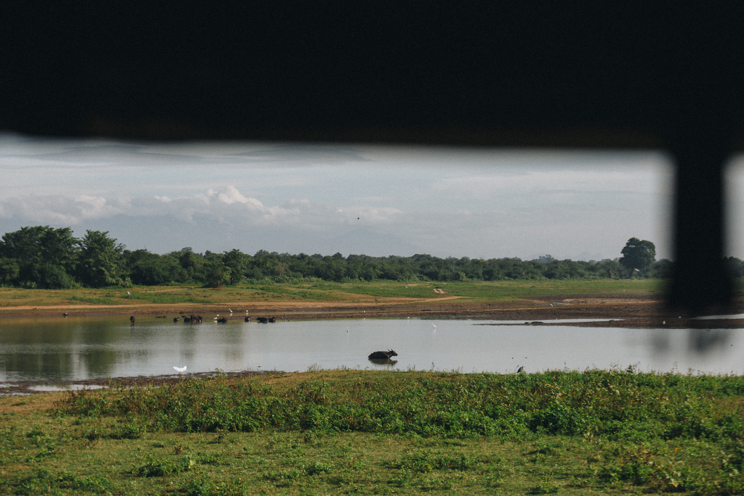 Family trip to Ella (Sri Lanka). Marina Kanygina (Fedoseeva) photography