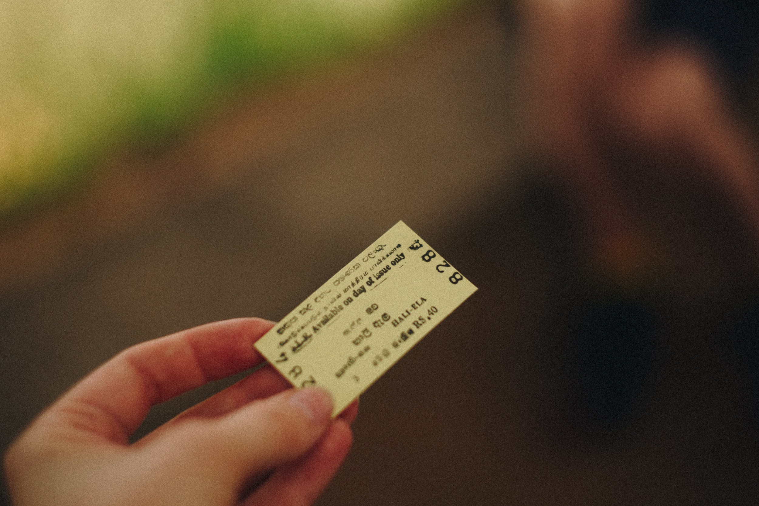 Journey to Ella (Sri Lanka). Marina Kanygina (Fedoseeva) photography