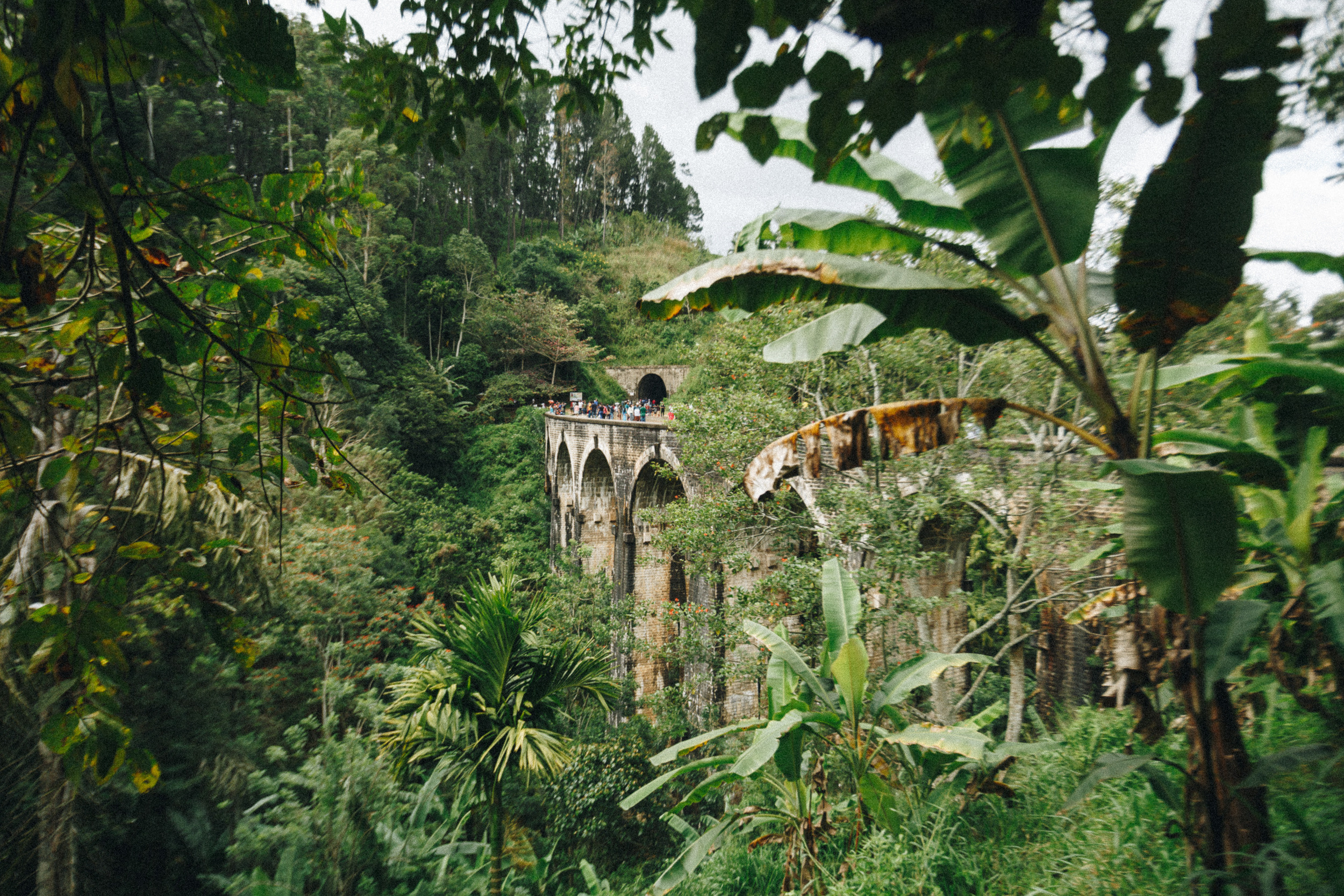 Journey to Ella (Sri Lanka). Marina Kanygina (Fedoseeva) photography