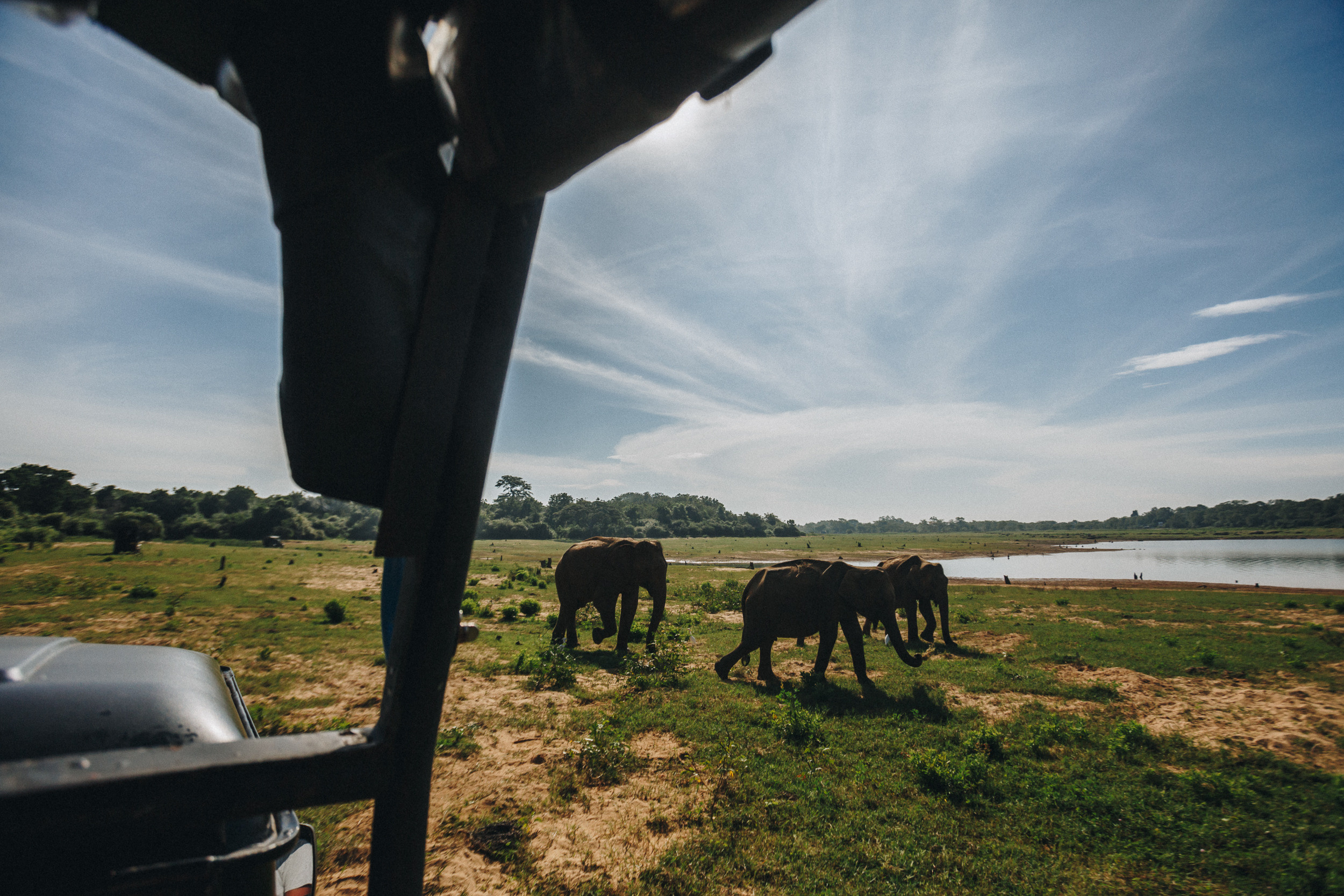 Journey to Ella (Sri Lanka). Marina Kanygina (Fedoseeva) photography