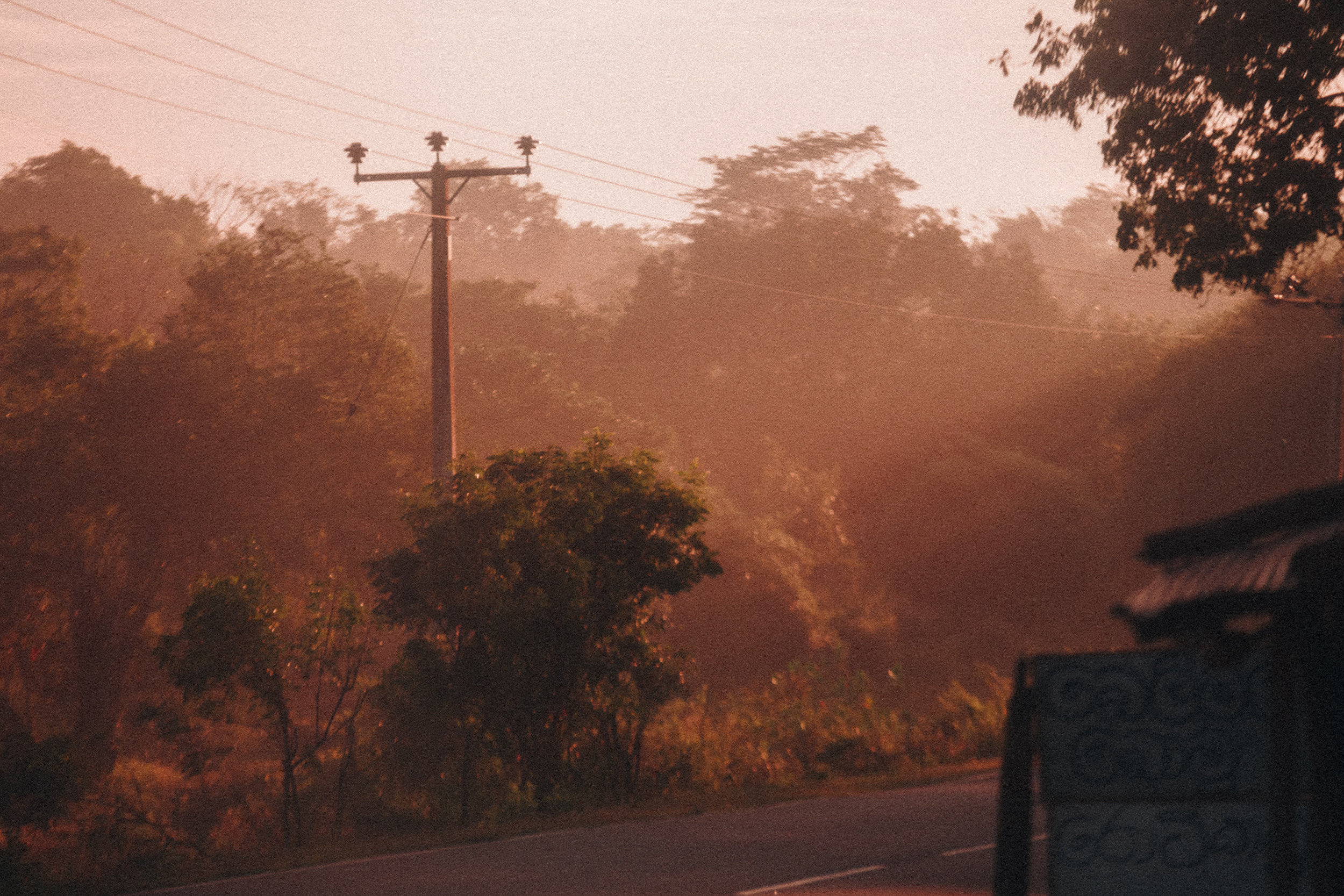 Journey to Ella (Sri Lanka). Marina Kanygina (Fedoseeva) photography