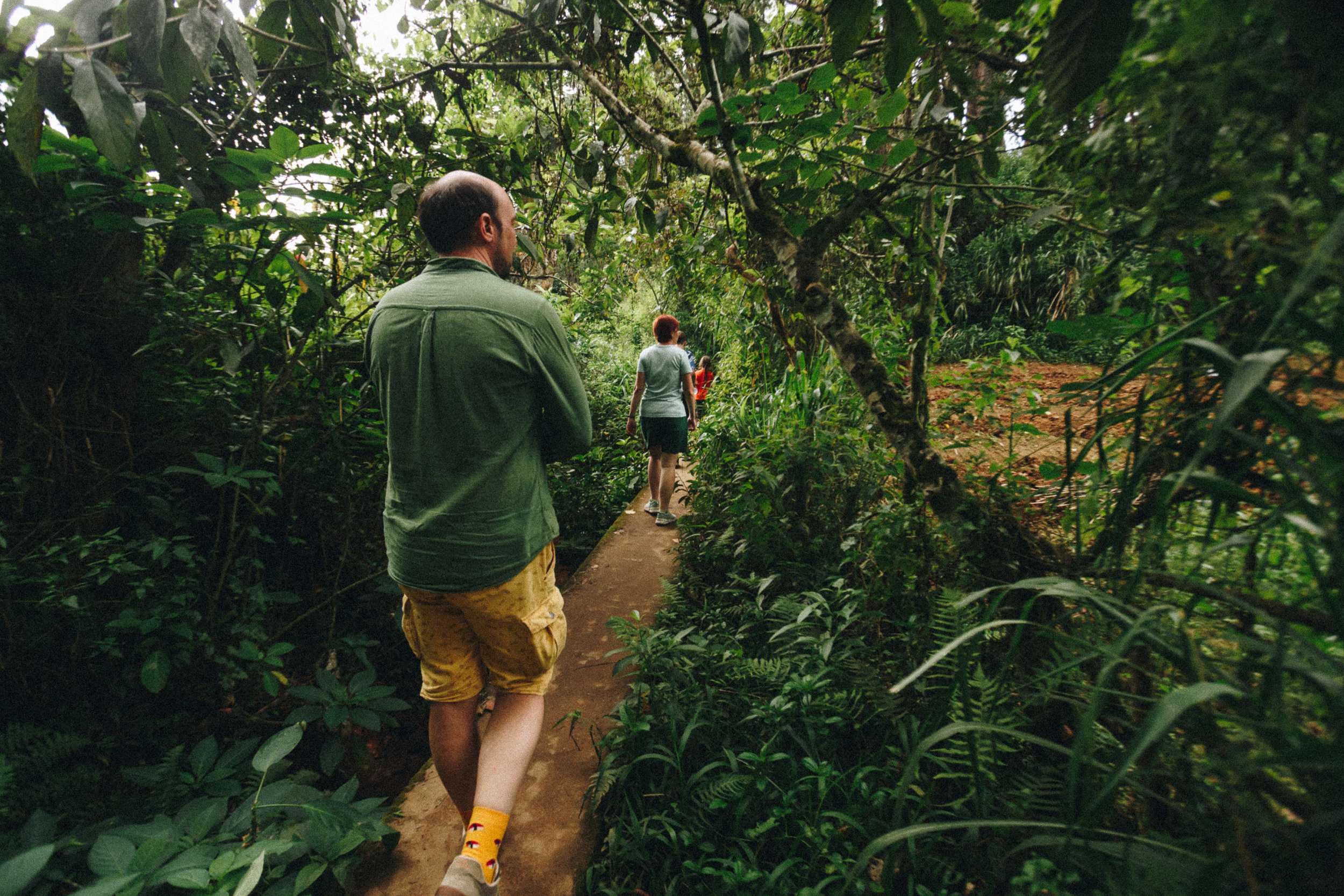Family trip to Ella (Sri Lanka). Marina Kanygina (Fedoseeva) photography