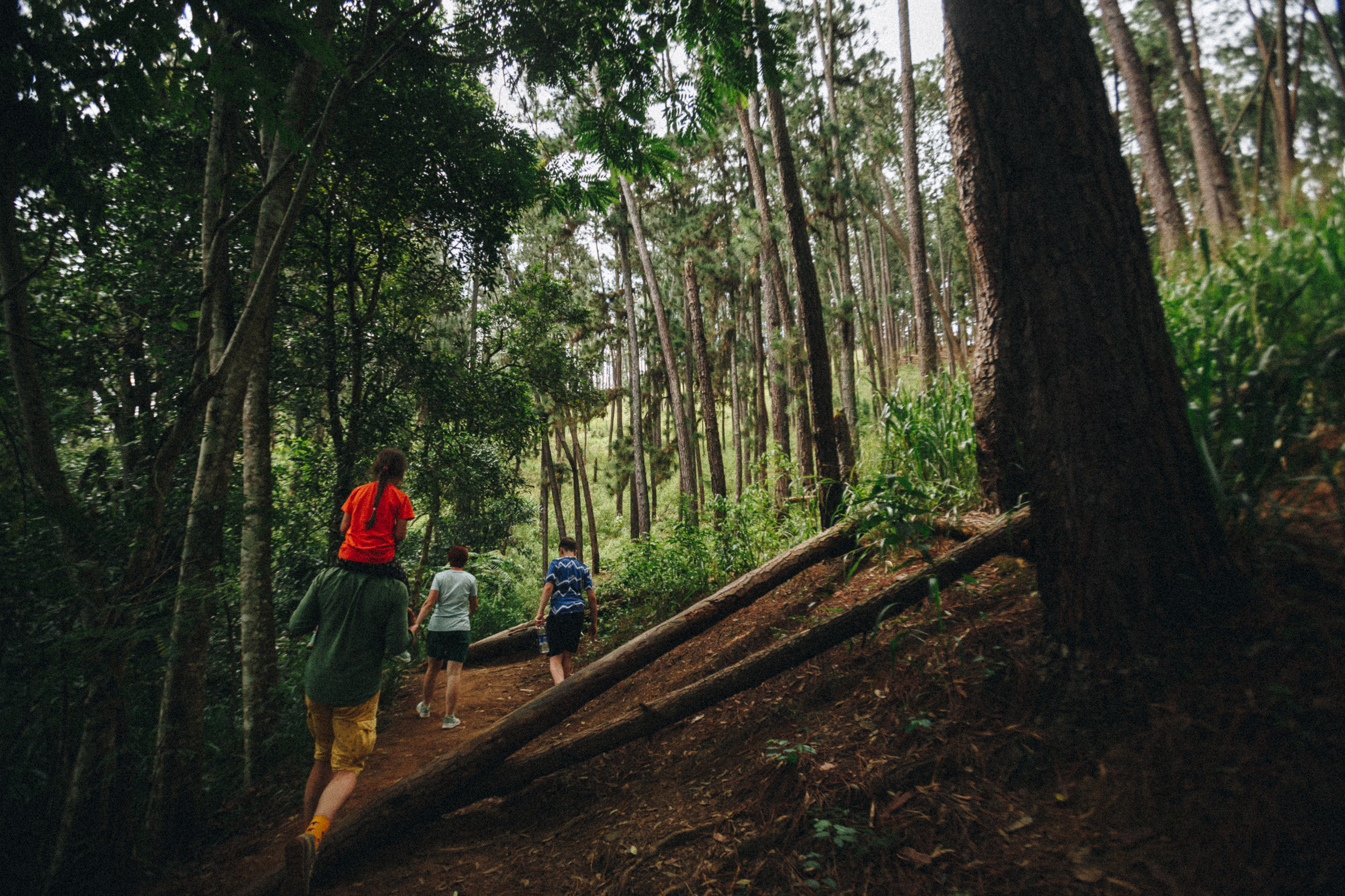 Family trip to Ella (Sri Lanka). Marina Kanygina (Fedoseeva) photography