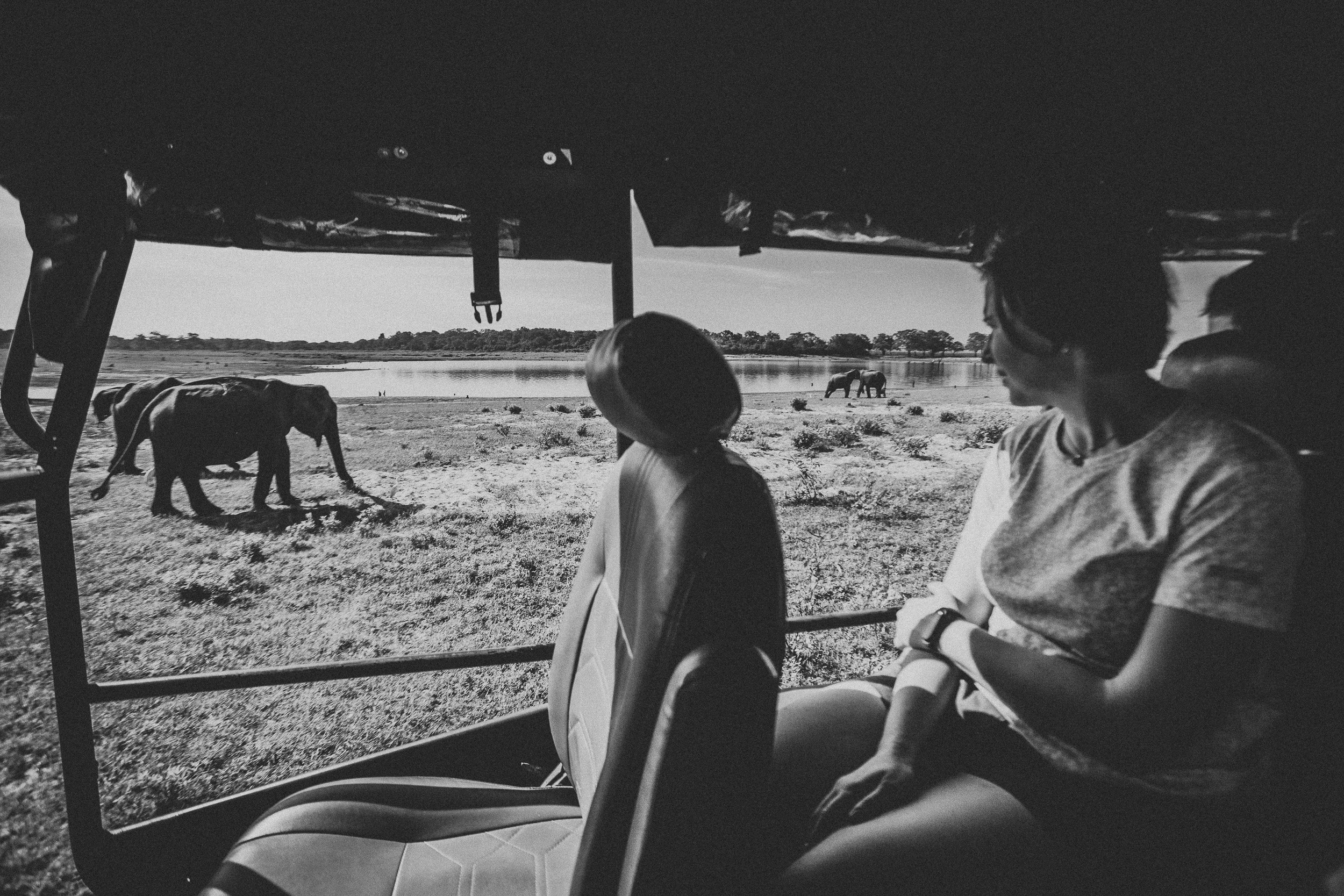 Journey to Ella (Sri Lanka). Marina Kanygina (Fedoseeva) photography